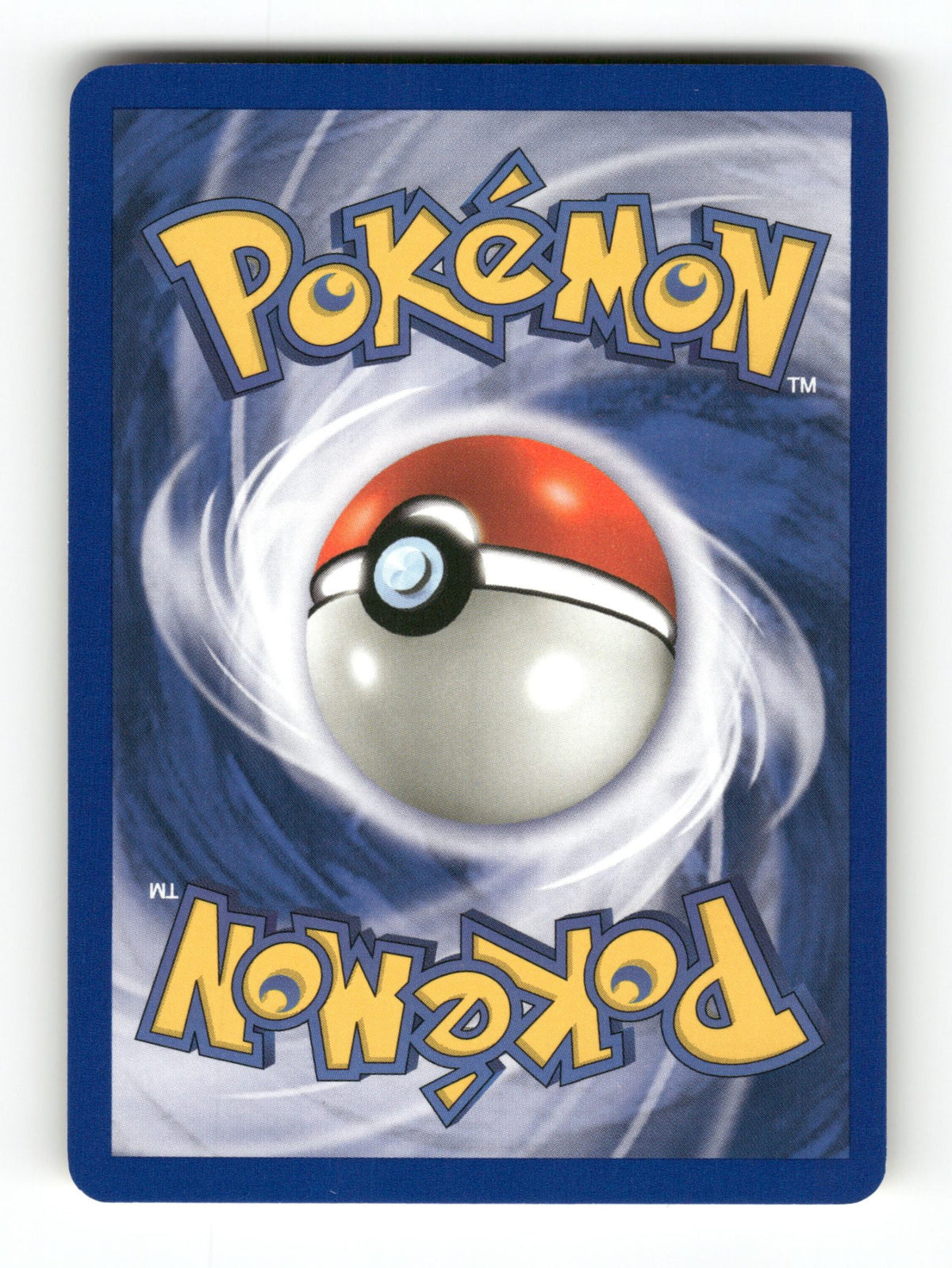 Squirtle (Back)
