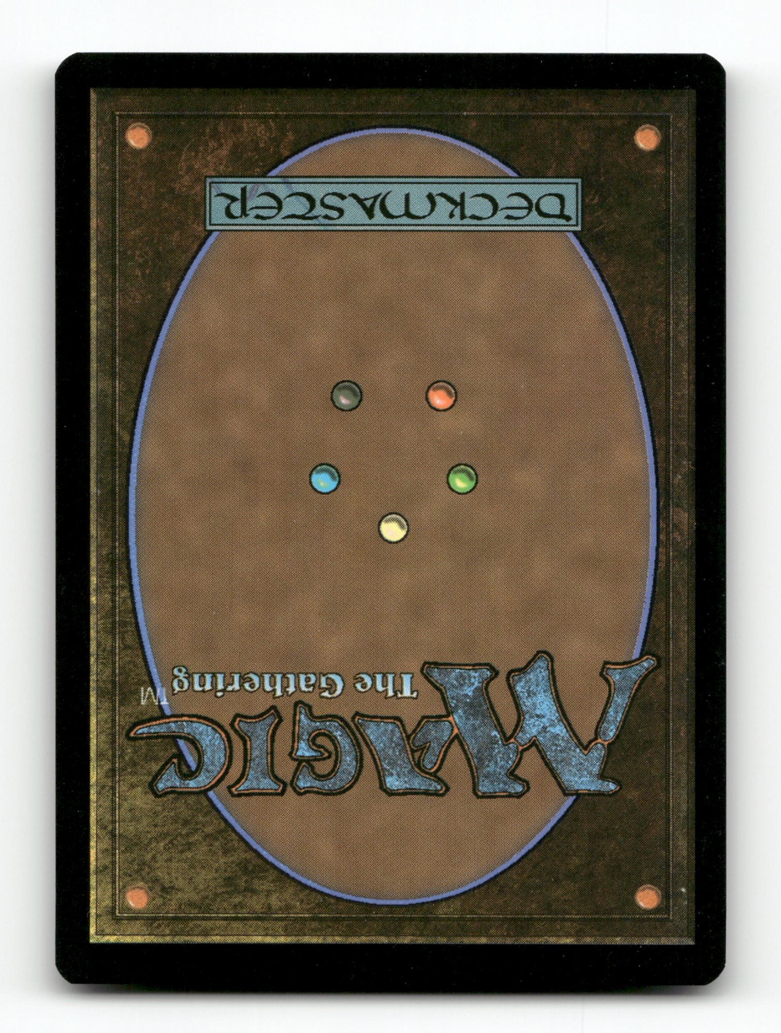Ancient Cellarspawn (Extended Art) (Back)