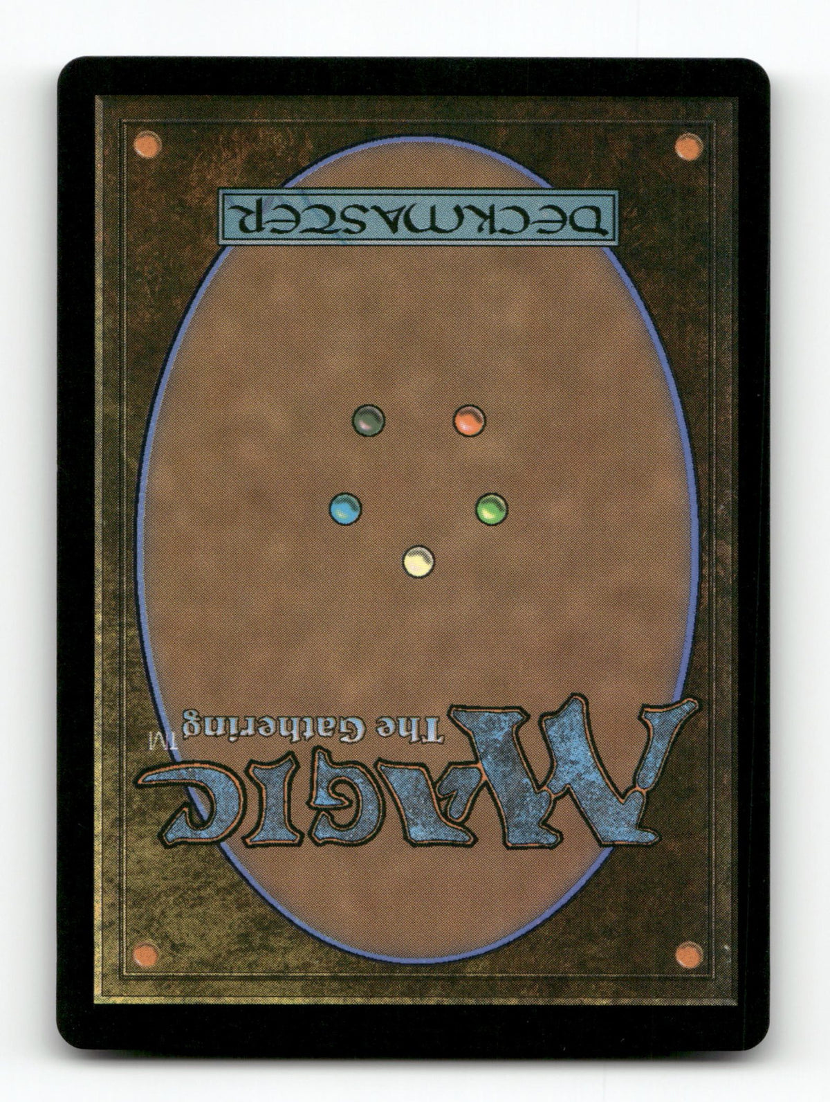 Forest (0319) (Back)