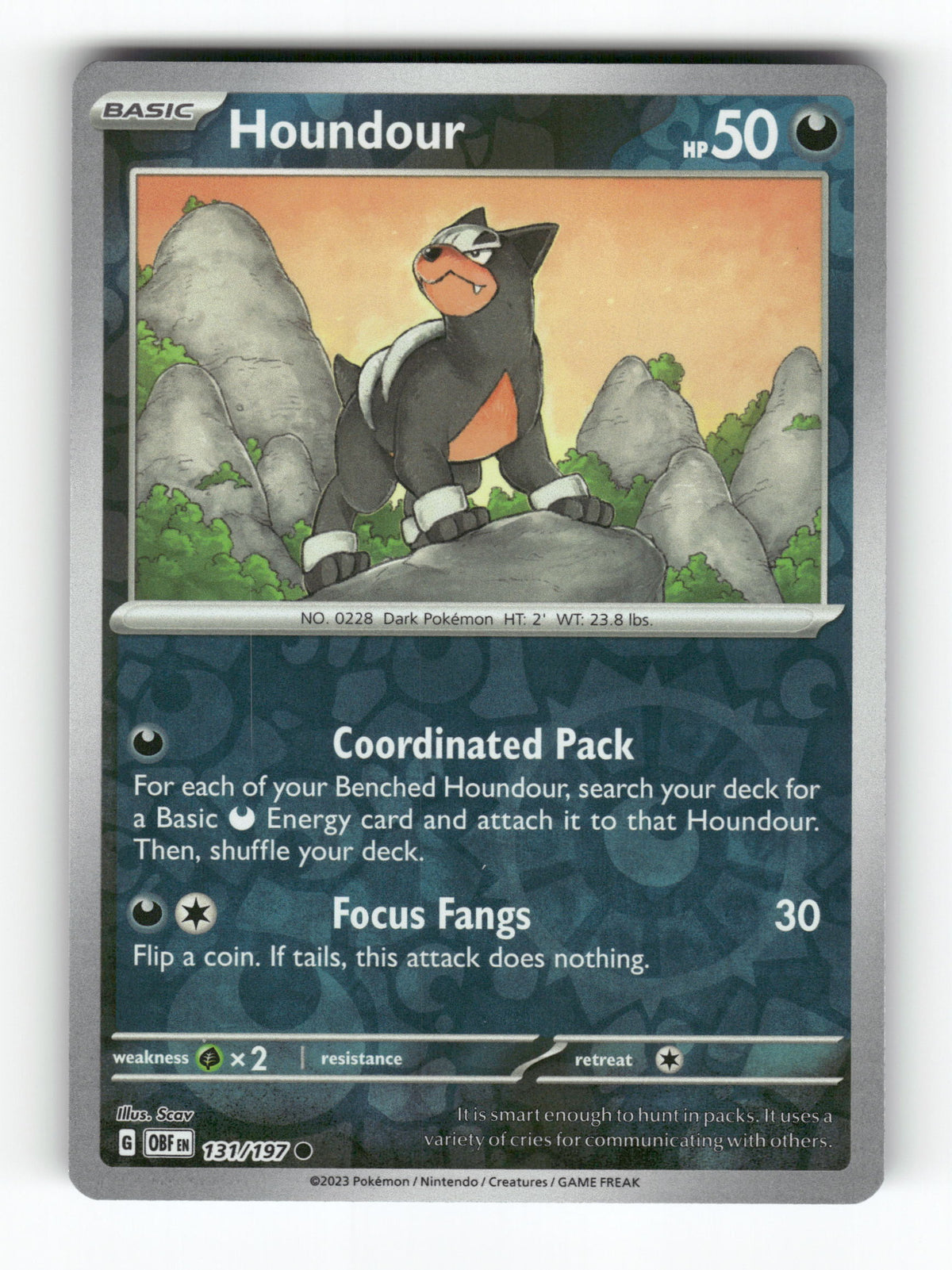 Houndour - 131/197