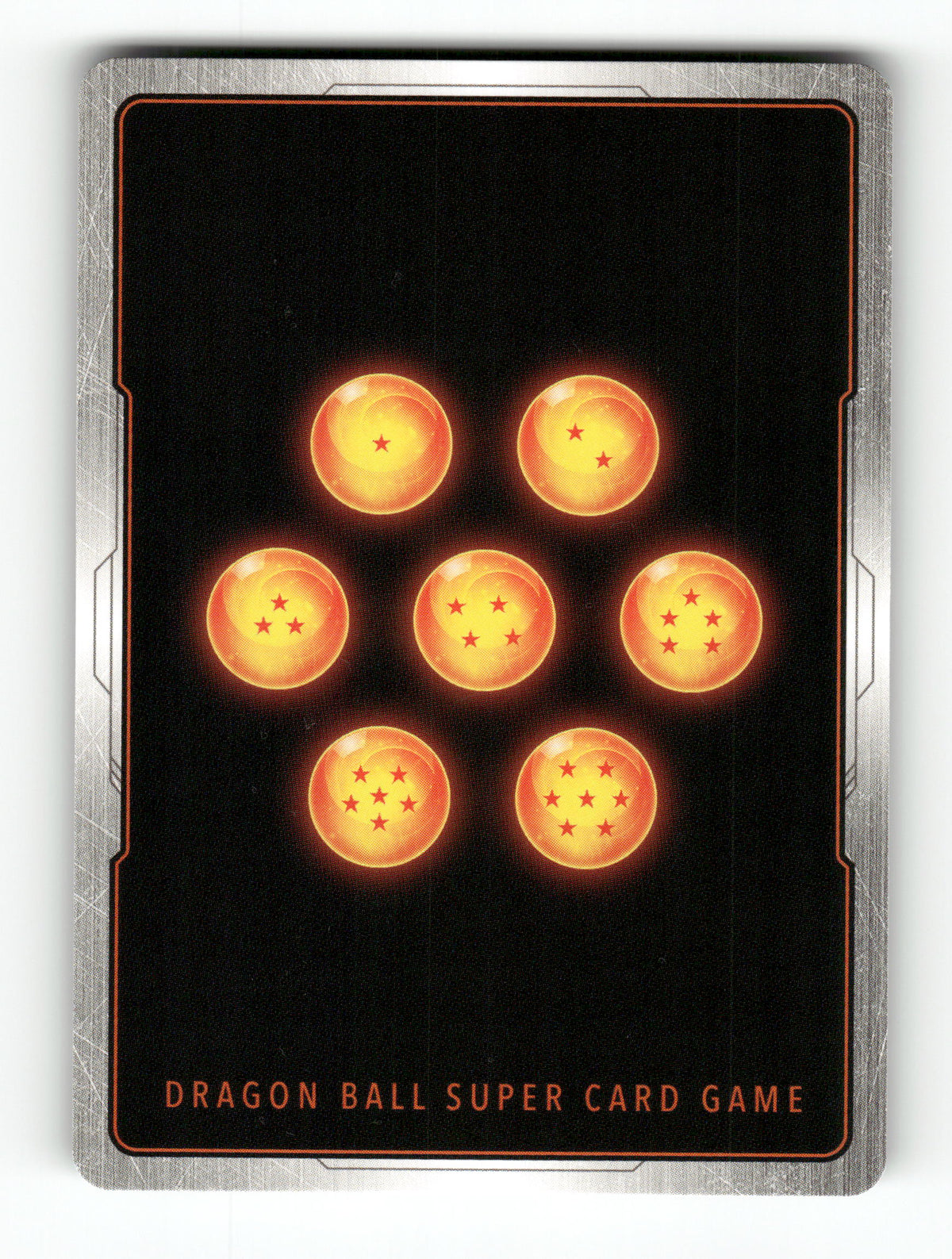 Turtle, Contest Spectator (Back)