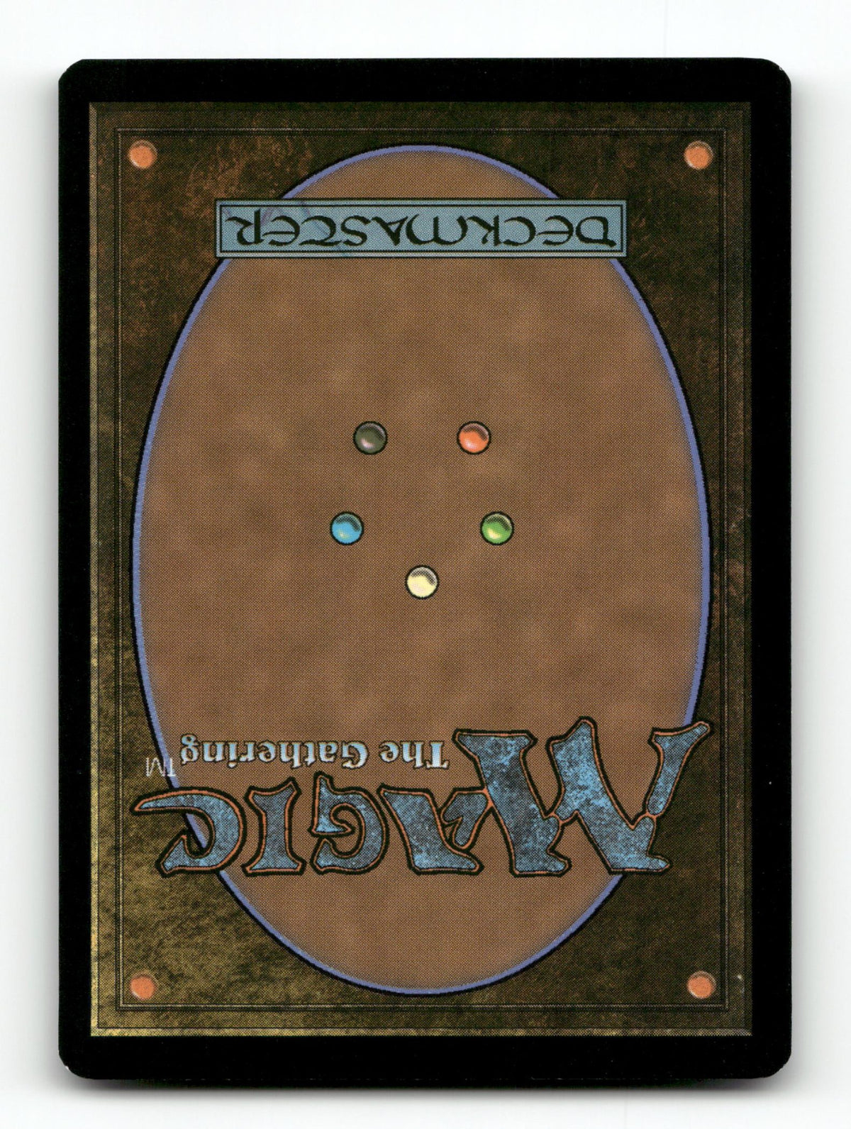 Swarm, Being of Bees (Back)