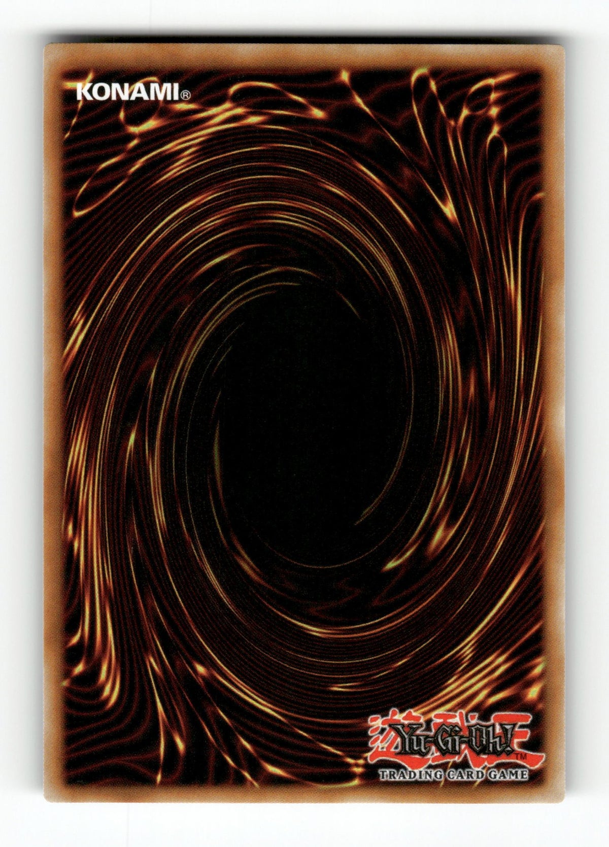 Albion the Shrouded Dragon (Back)