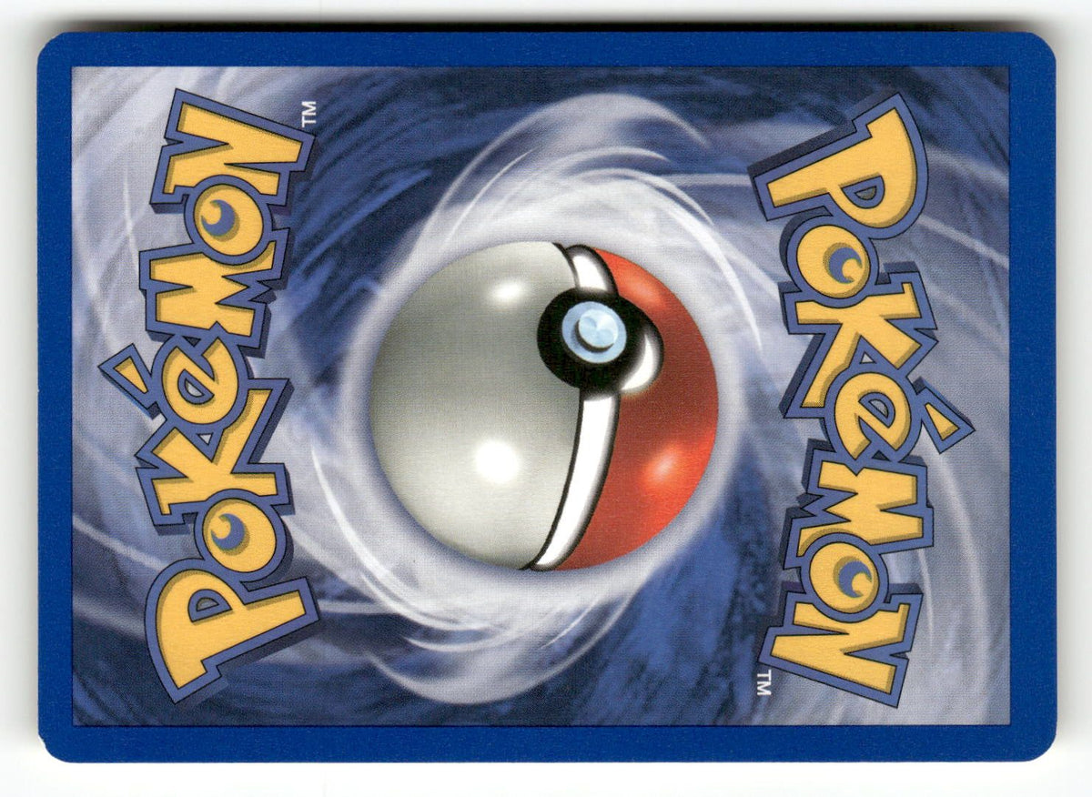 Dark Wartortle (Back)