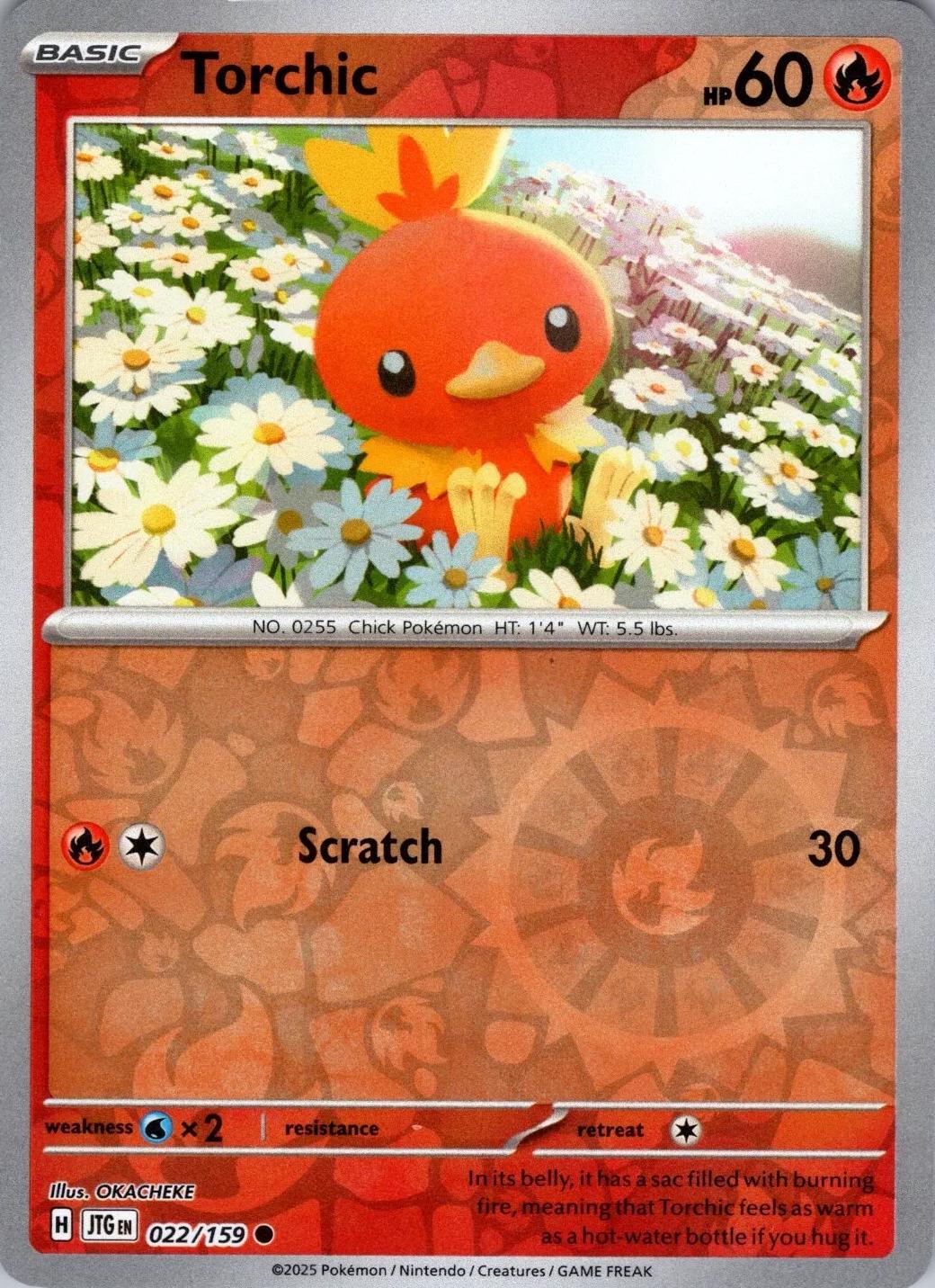 Torchic
