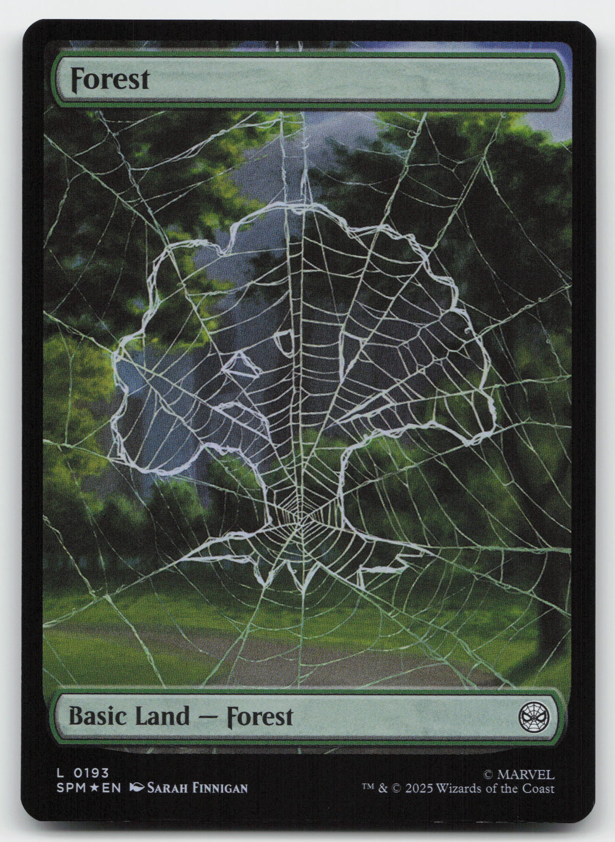 Forest (0193)