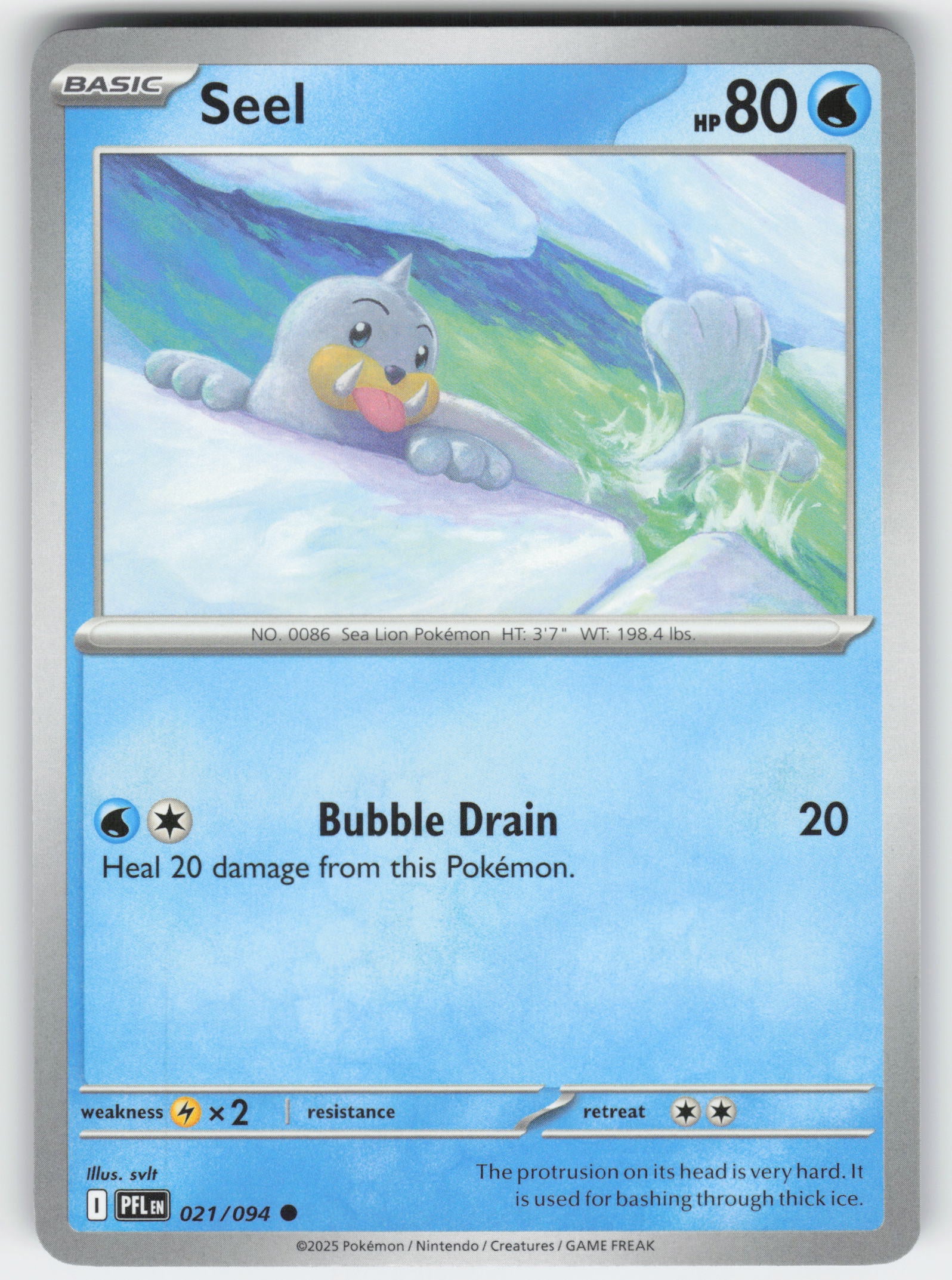 Seel