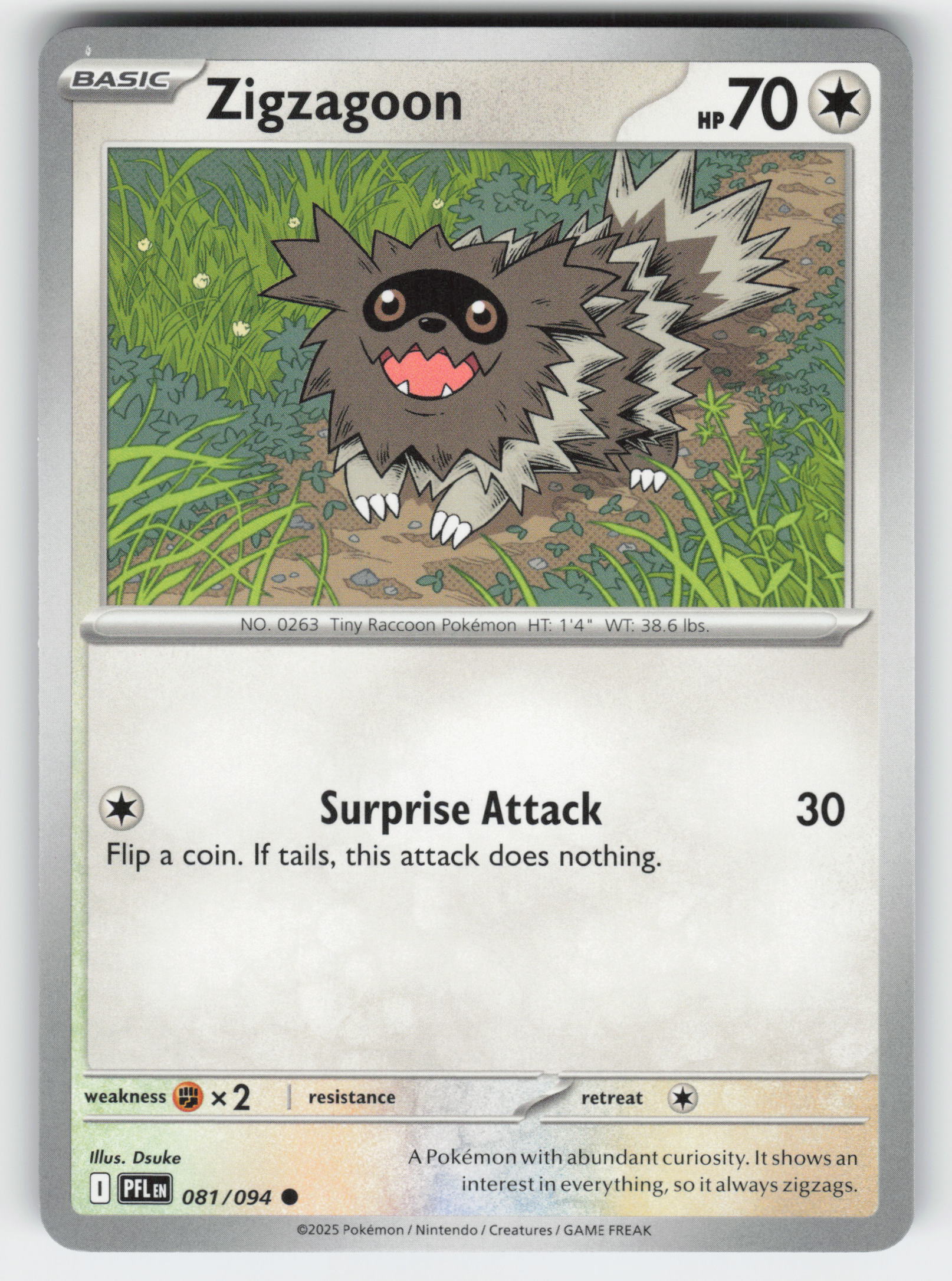 Zigzagoon