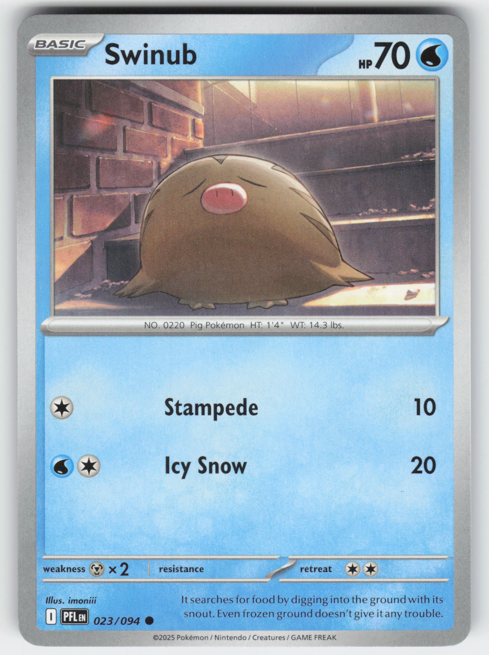 Swinub