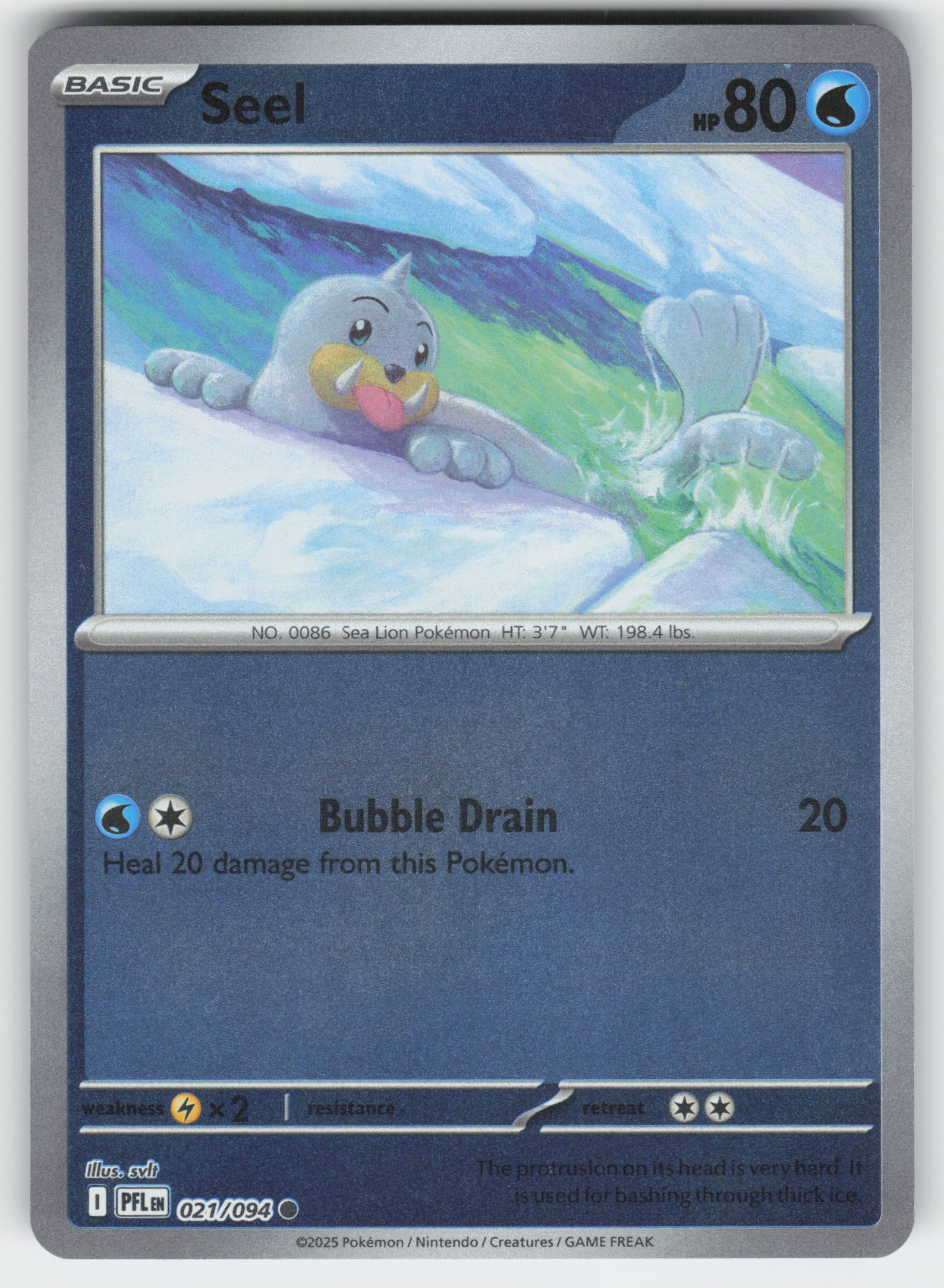Seel