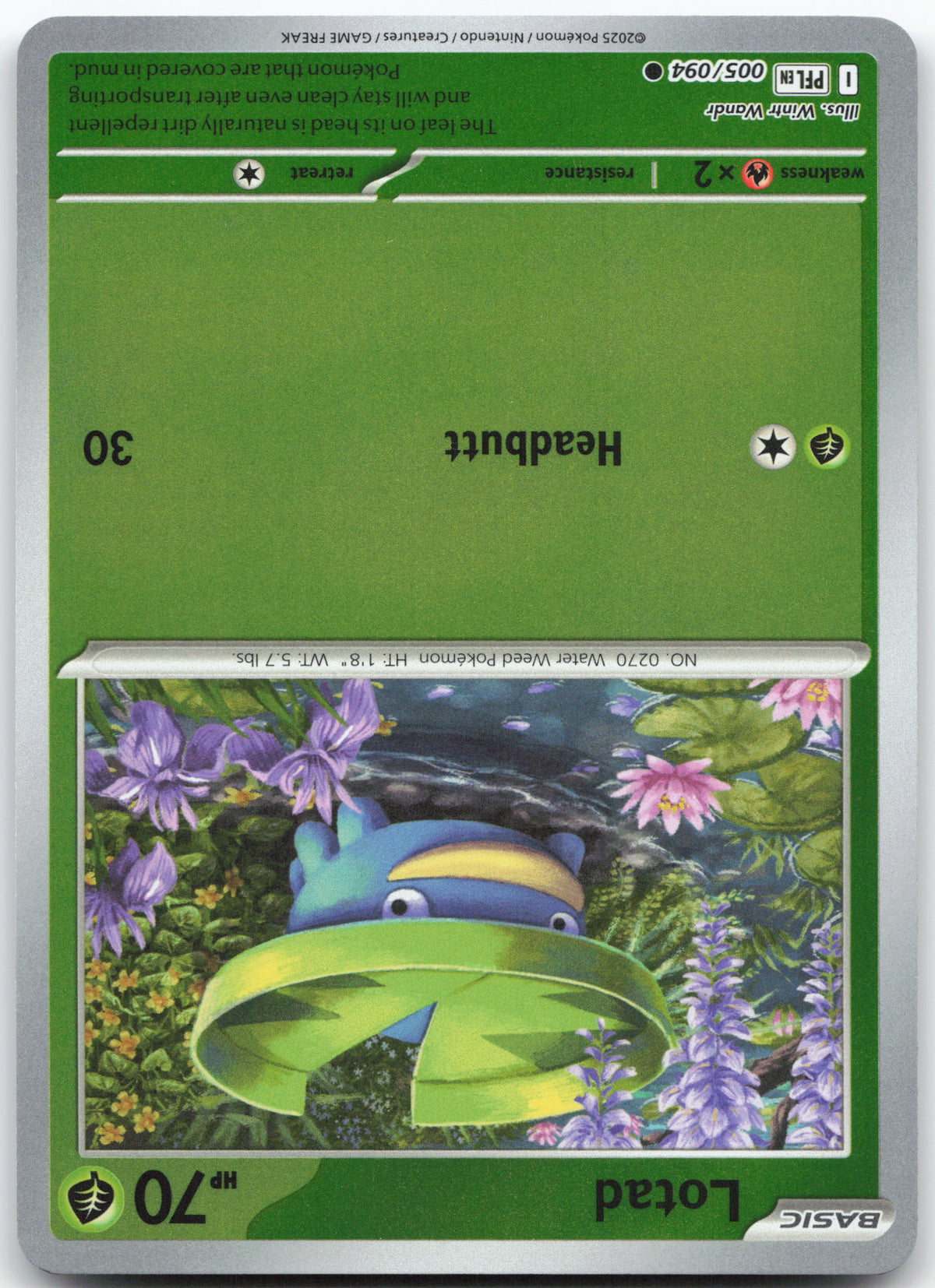 Lotad