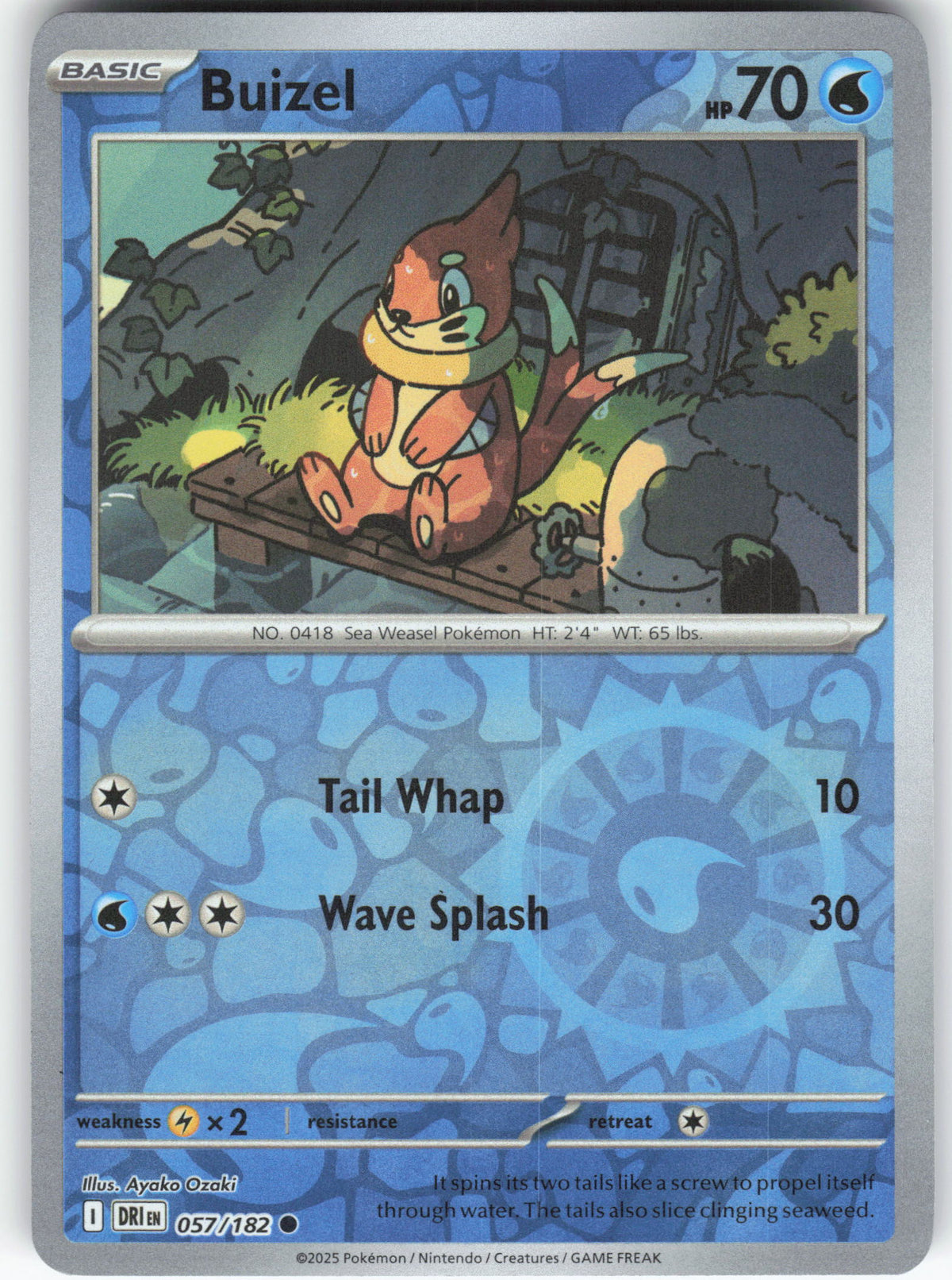 Buizel