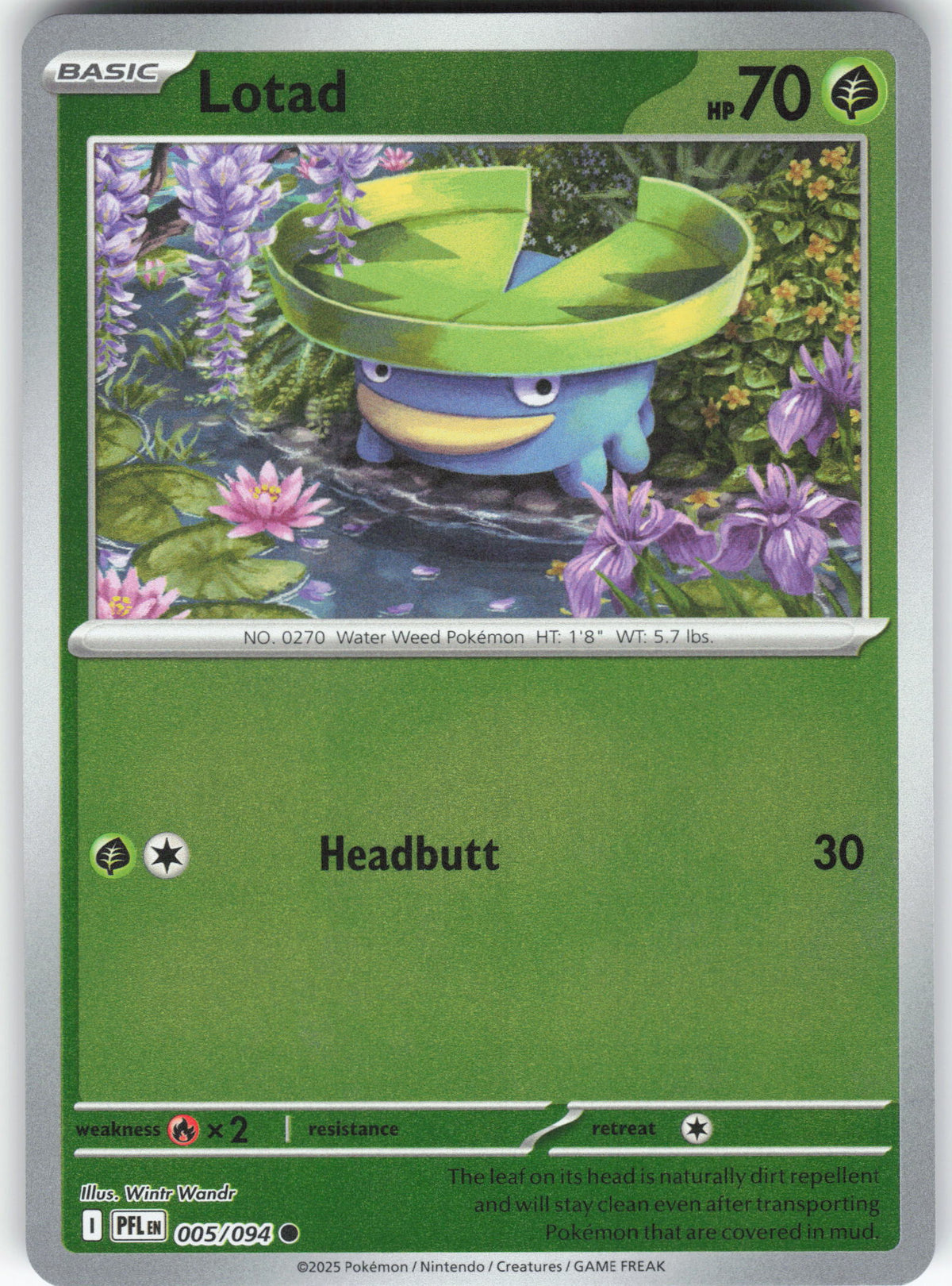 Lotad