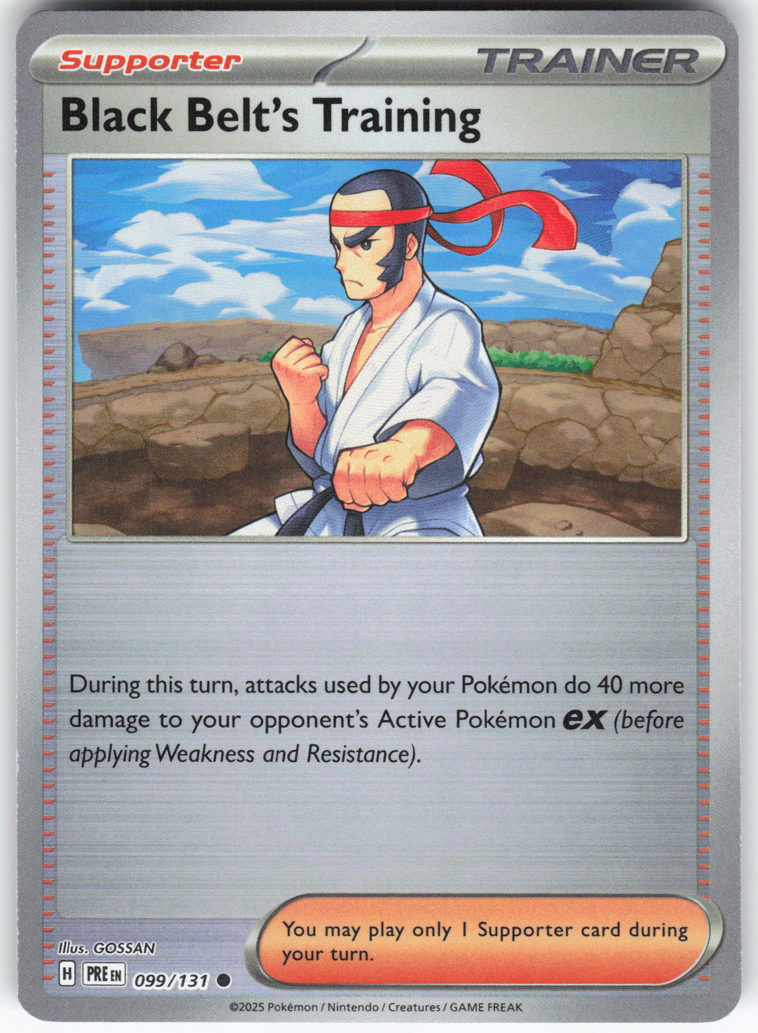 Black Belt's Training - 099/131 (Poke Ball Pattern)
