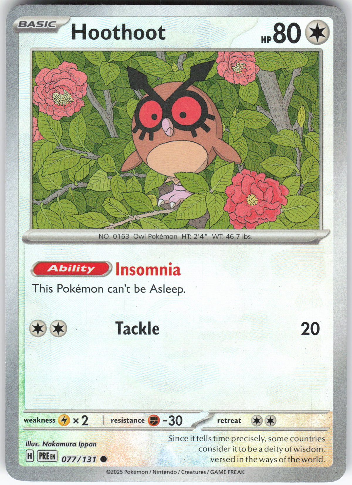Hoothoot (Poke Ball Pattern)