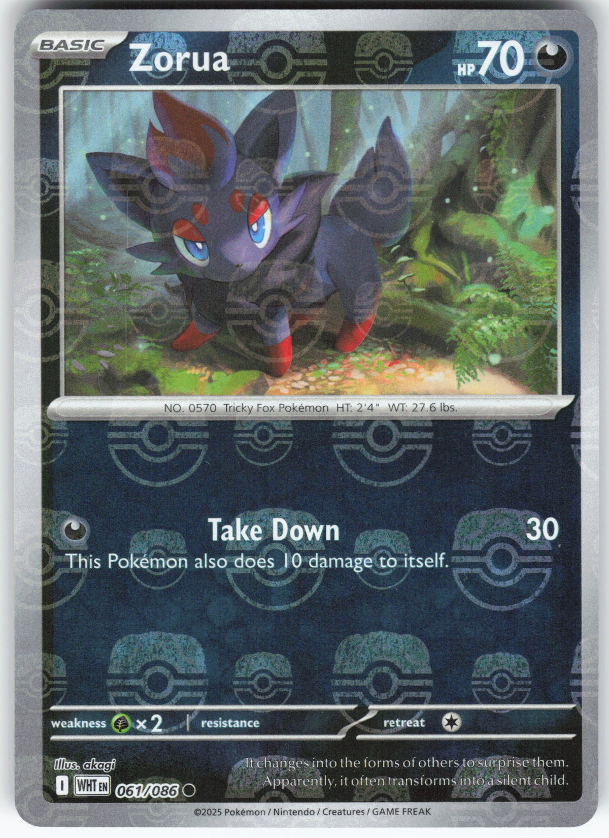 Zorua (Master Ball Pattern)