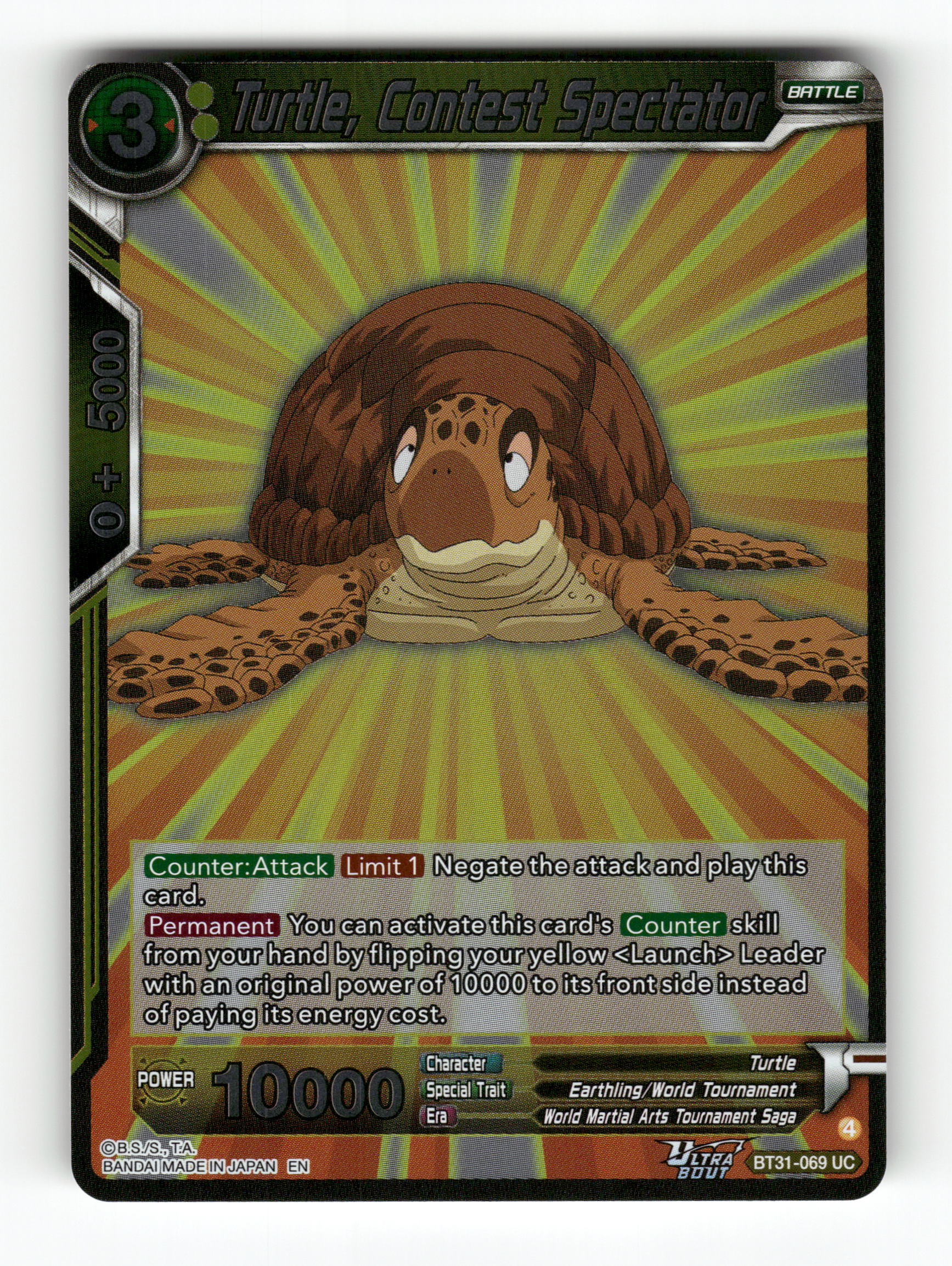 Turtle, Contest Spectator