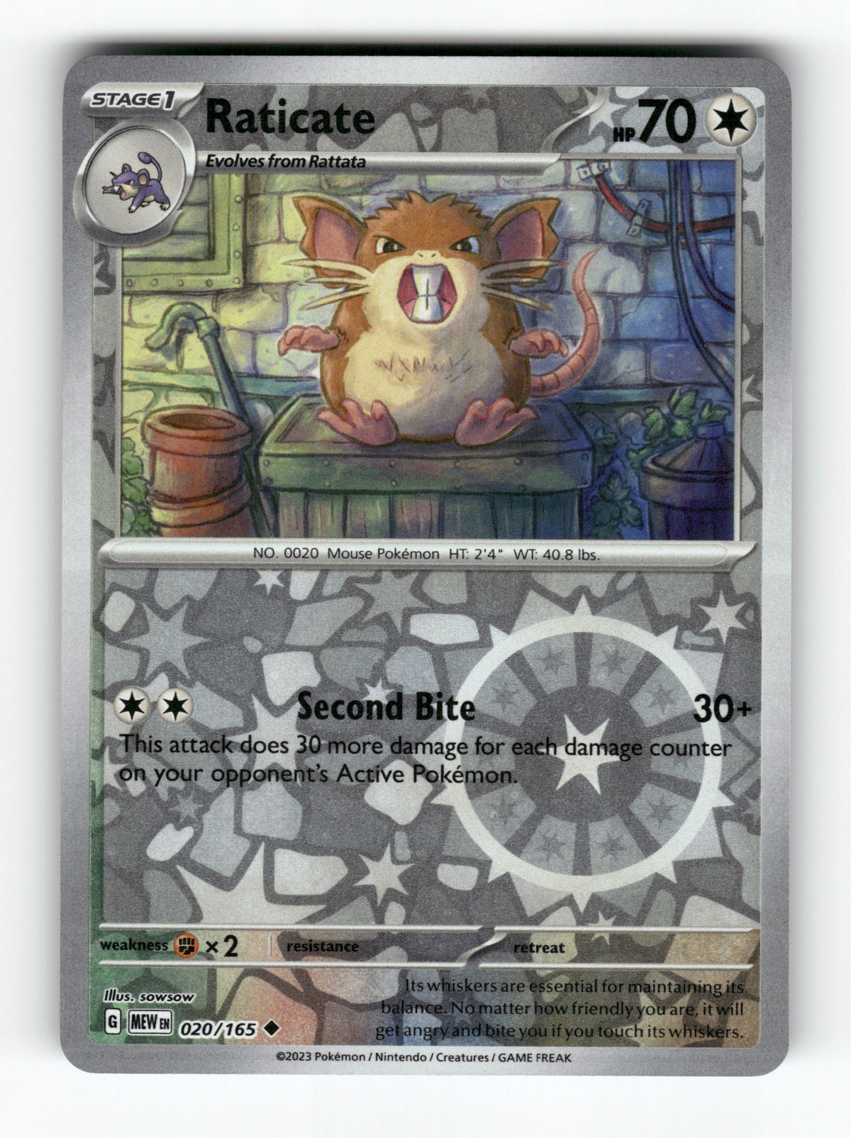 Raticate