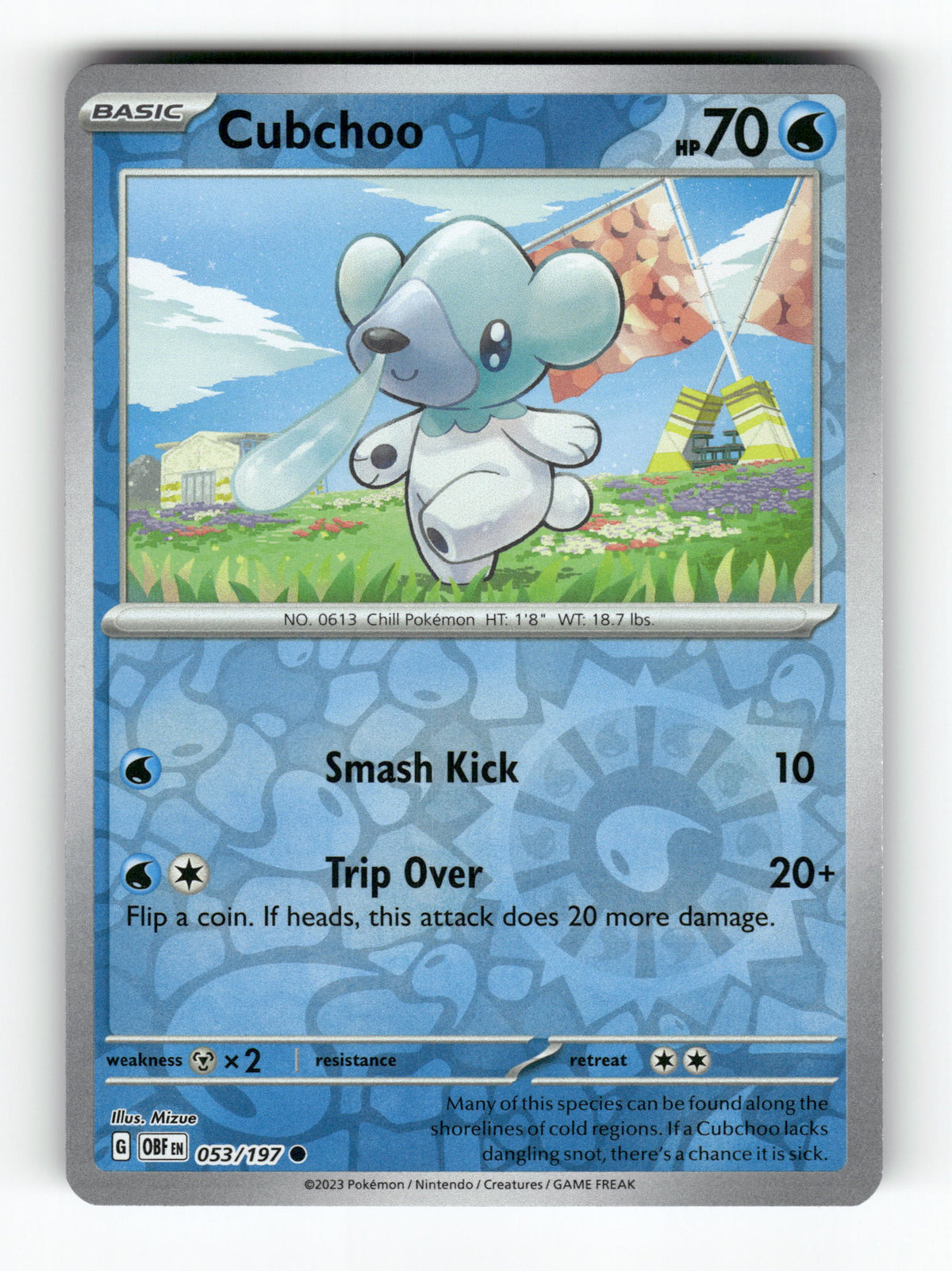 Cubchoo