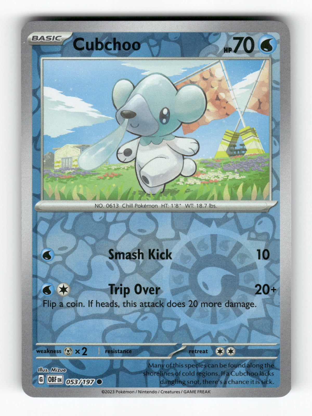 Cubchoo