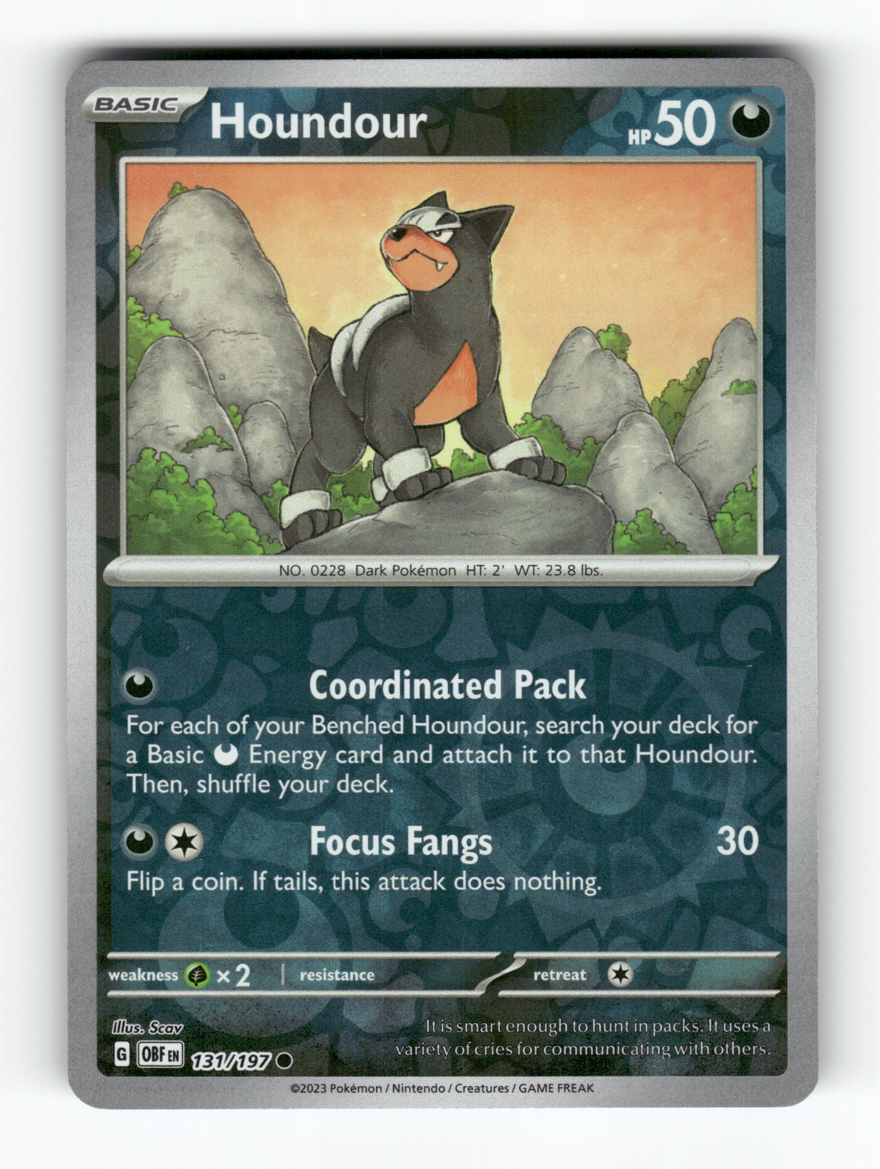 Houndour - 131/197