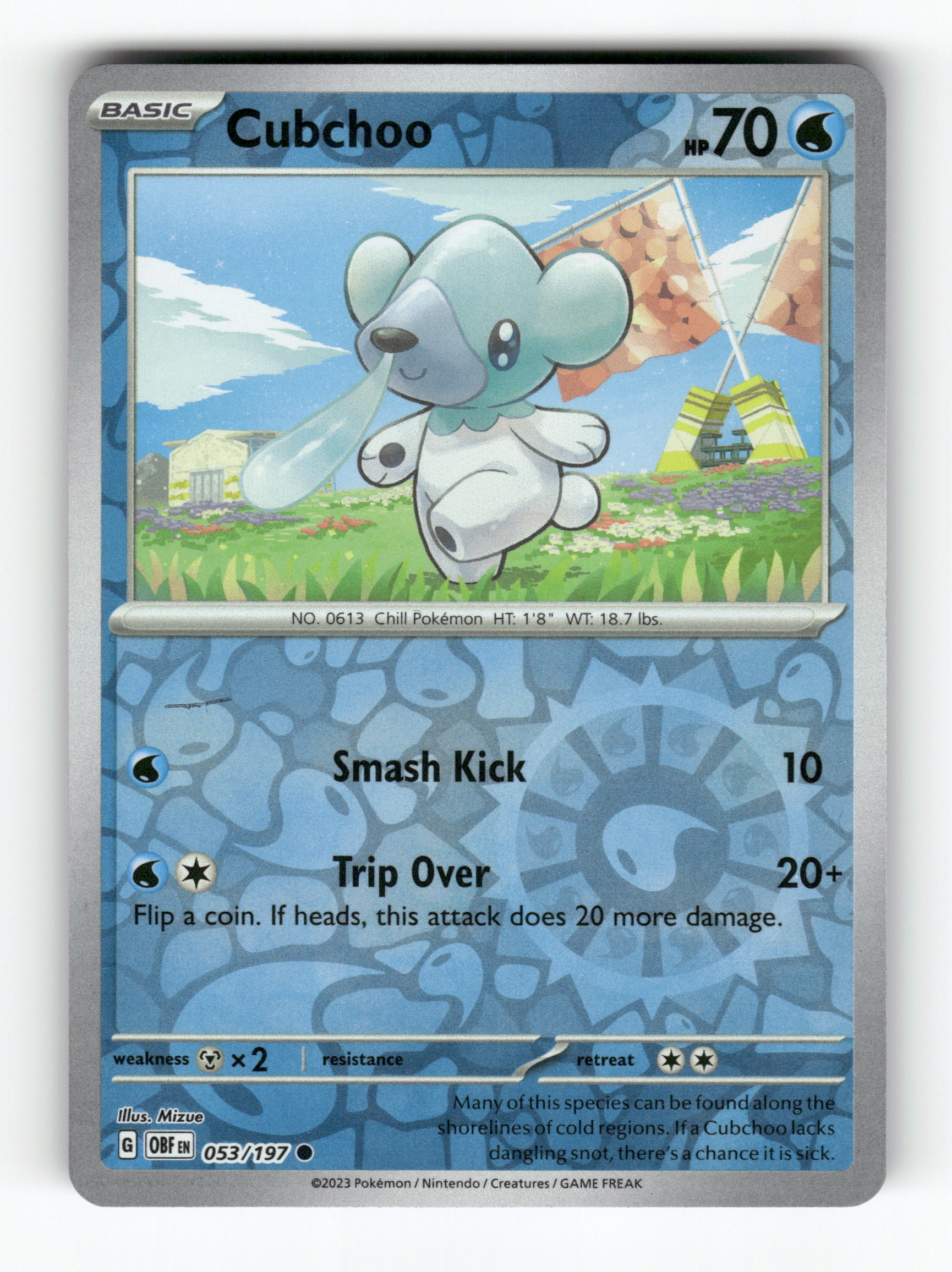 Cubchoo