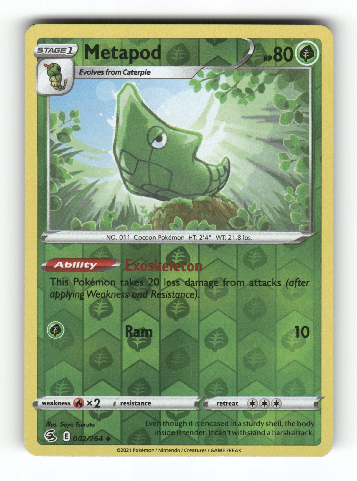 Metapod