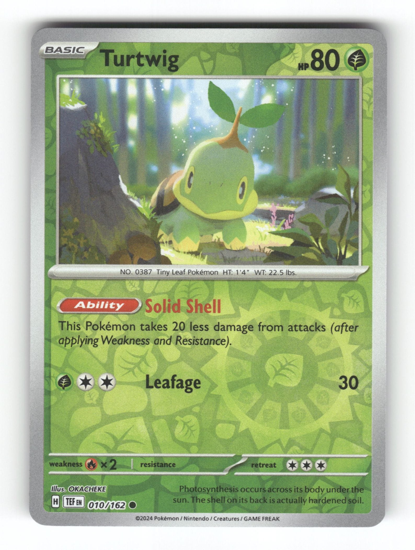 Turtwig