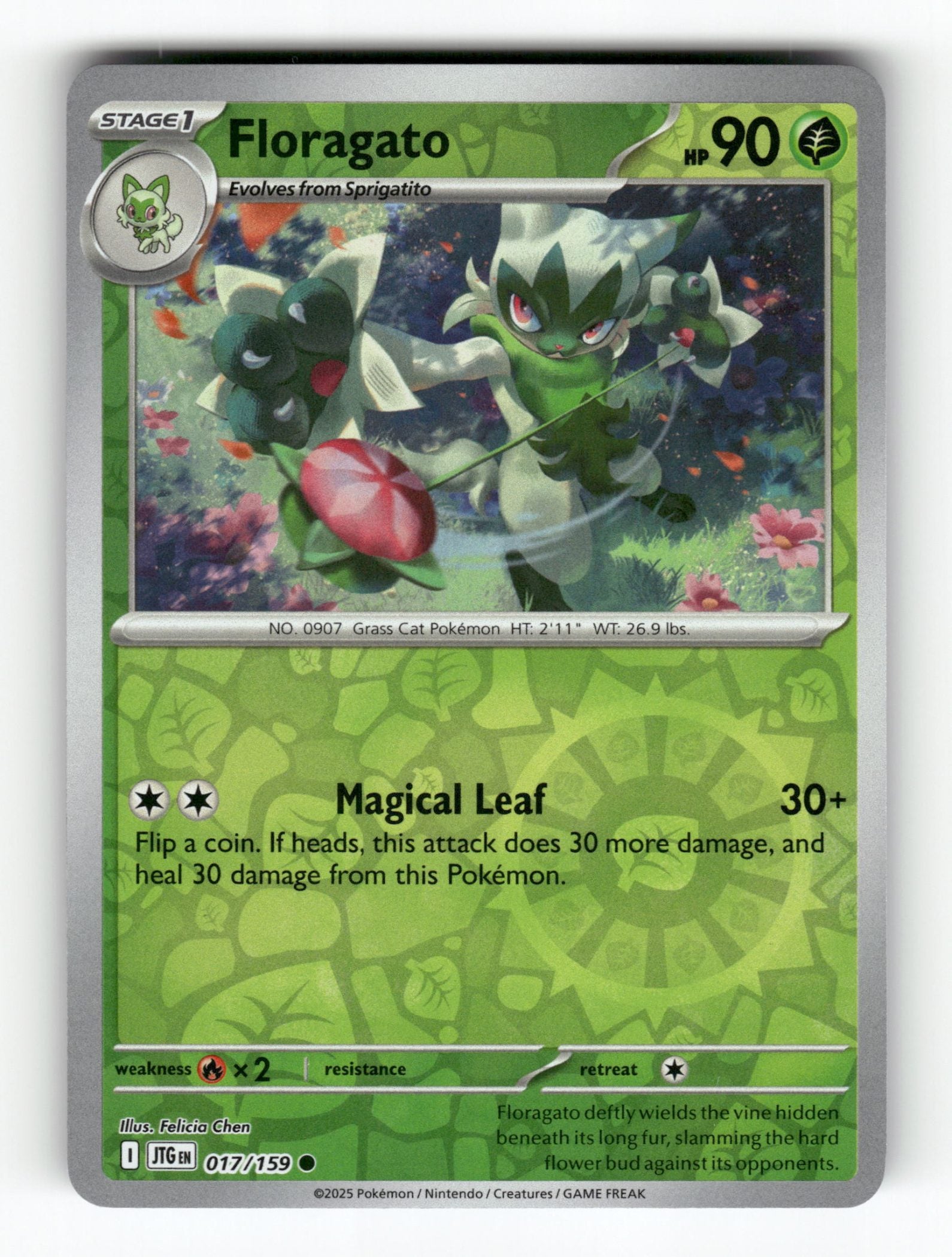 Floragato