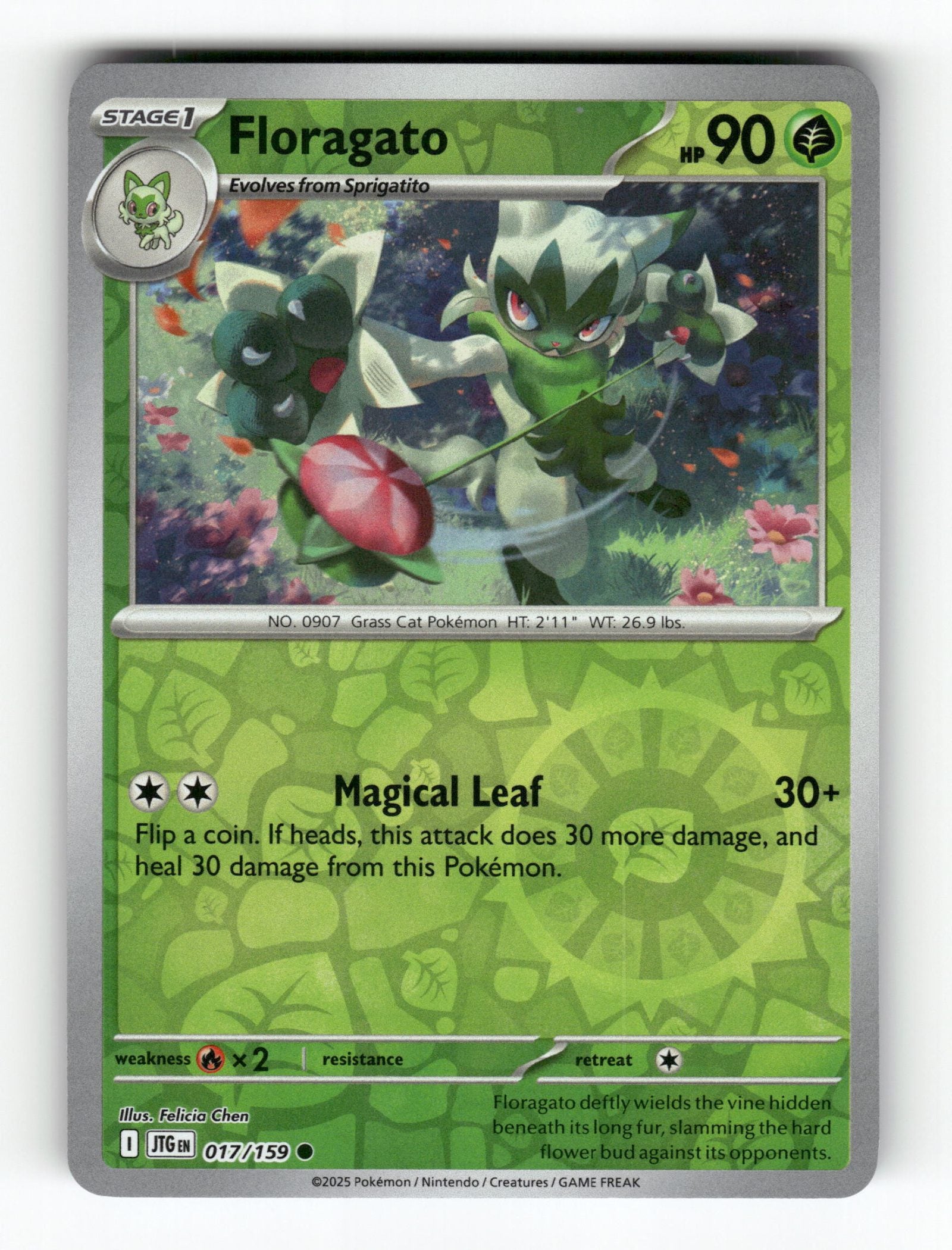 Floragato