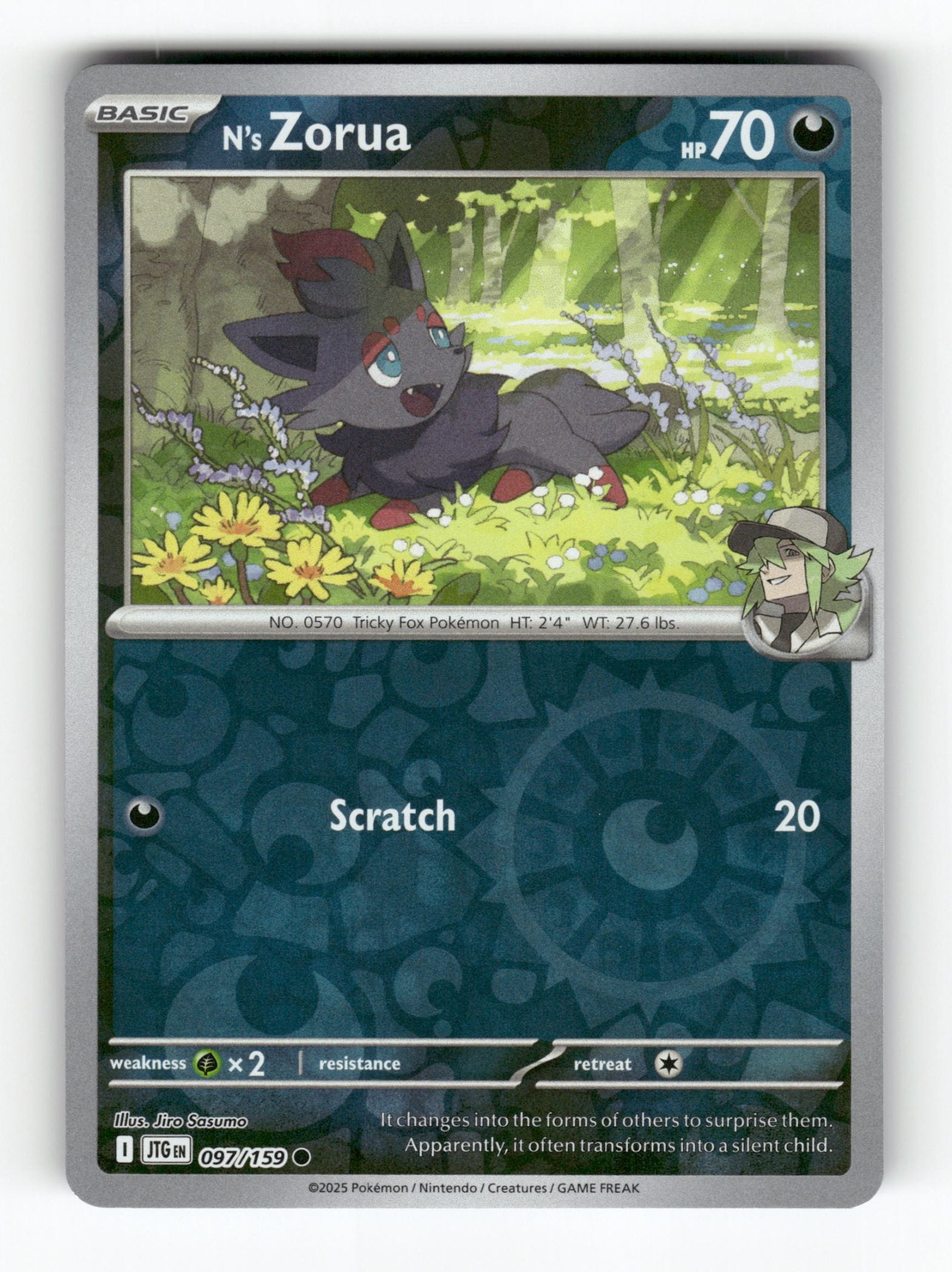 N's Zorua