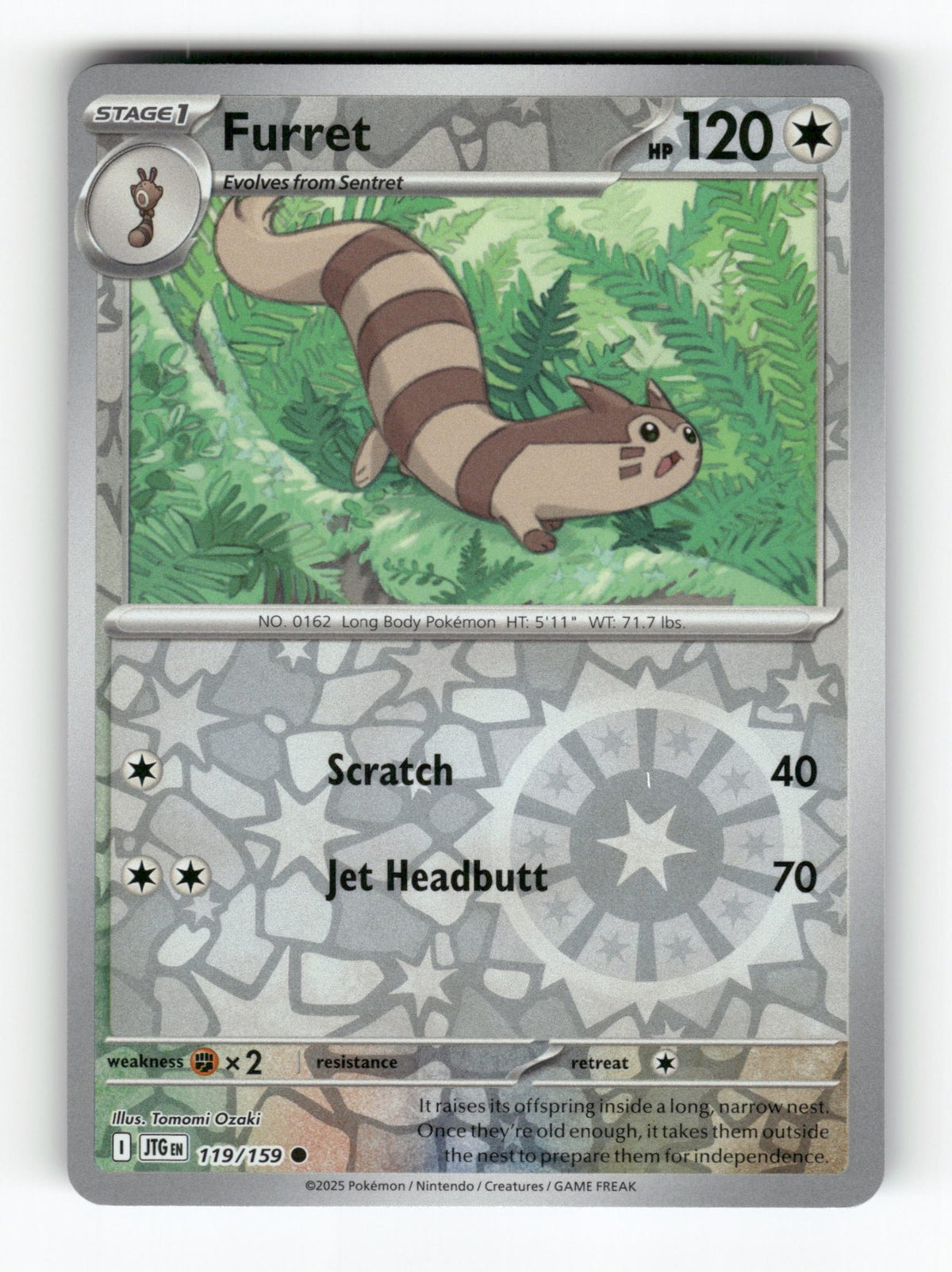 Furret - 119/159