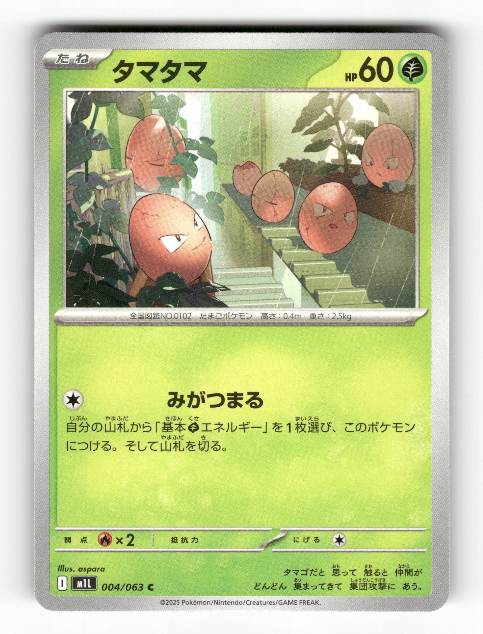Exeggcute