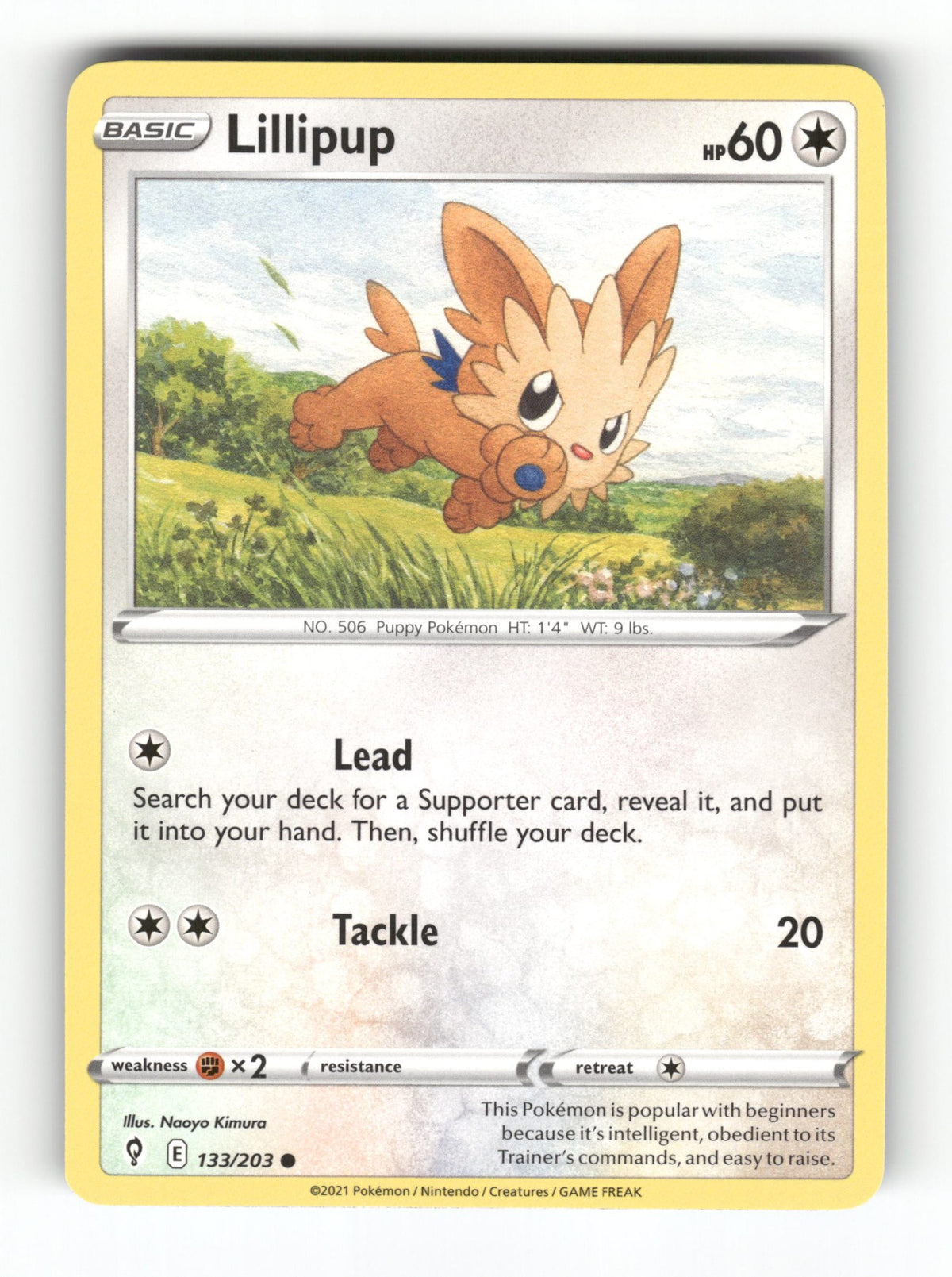 Lillipup