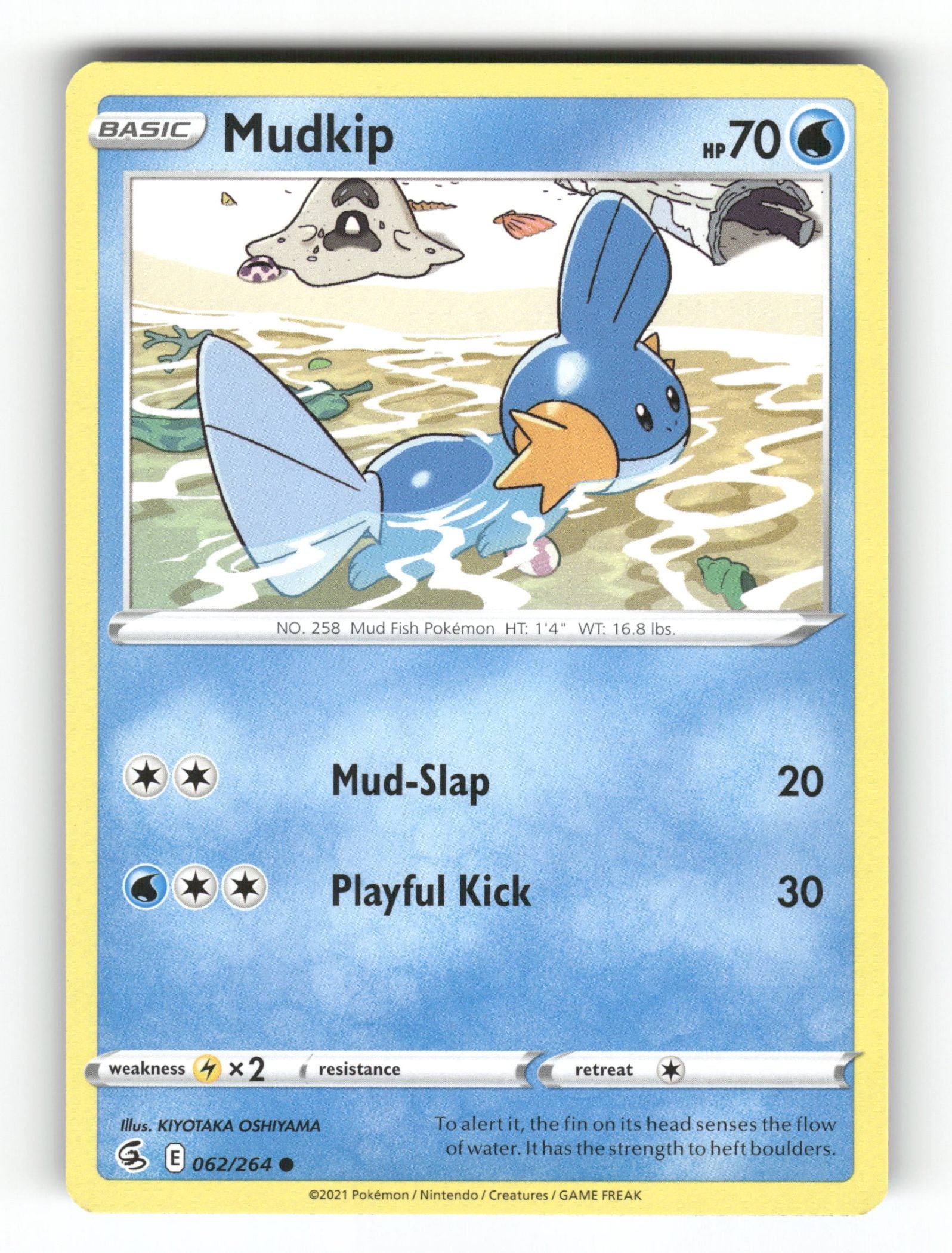 Mudkip