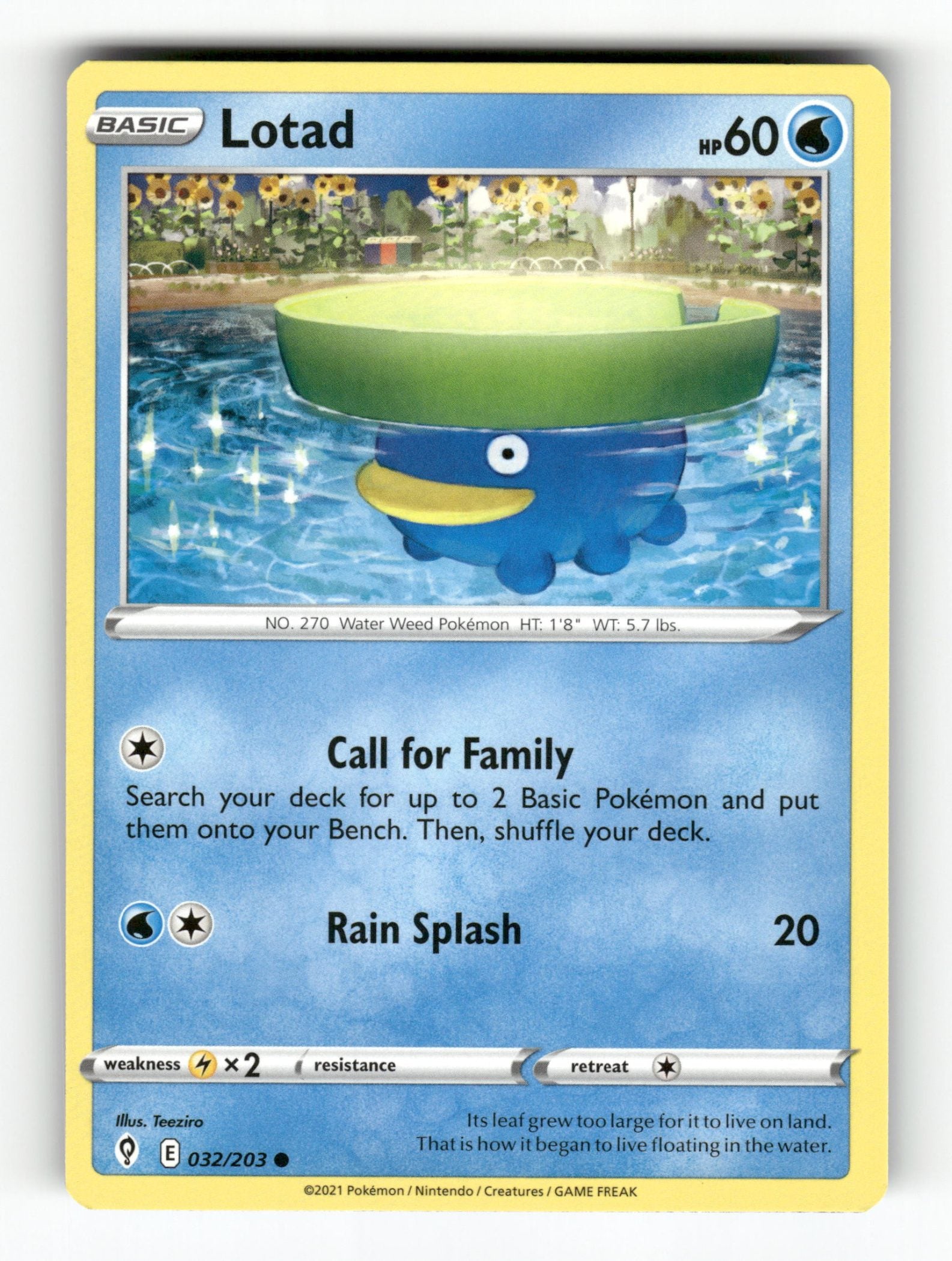 Lotad