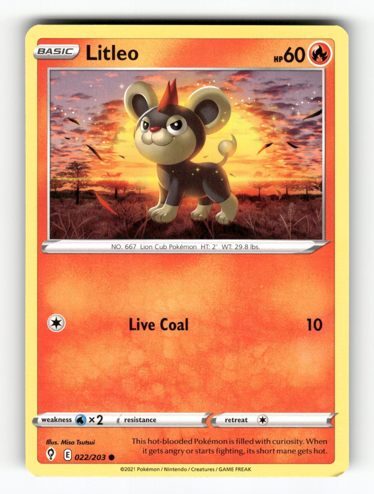 Litleo