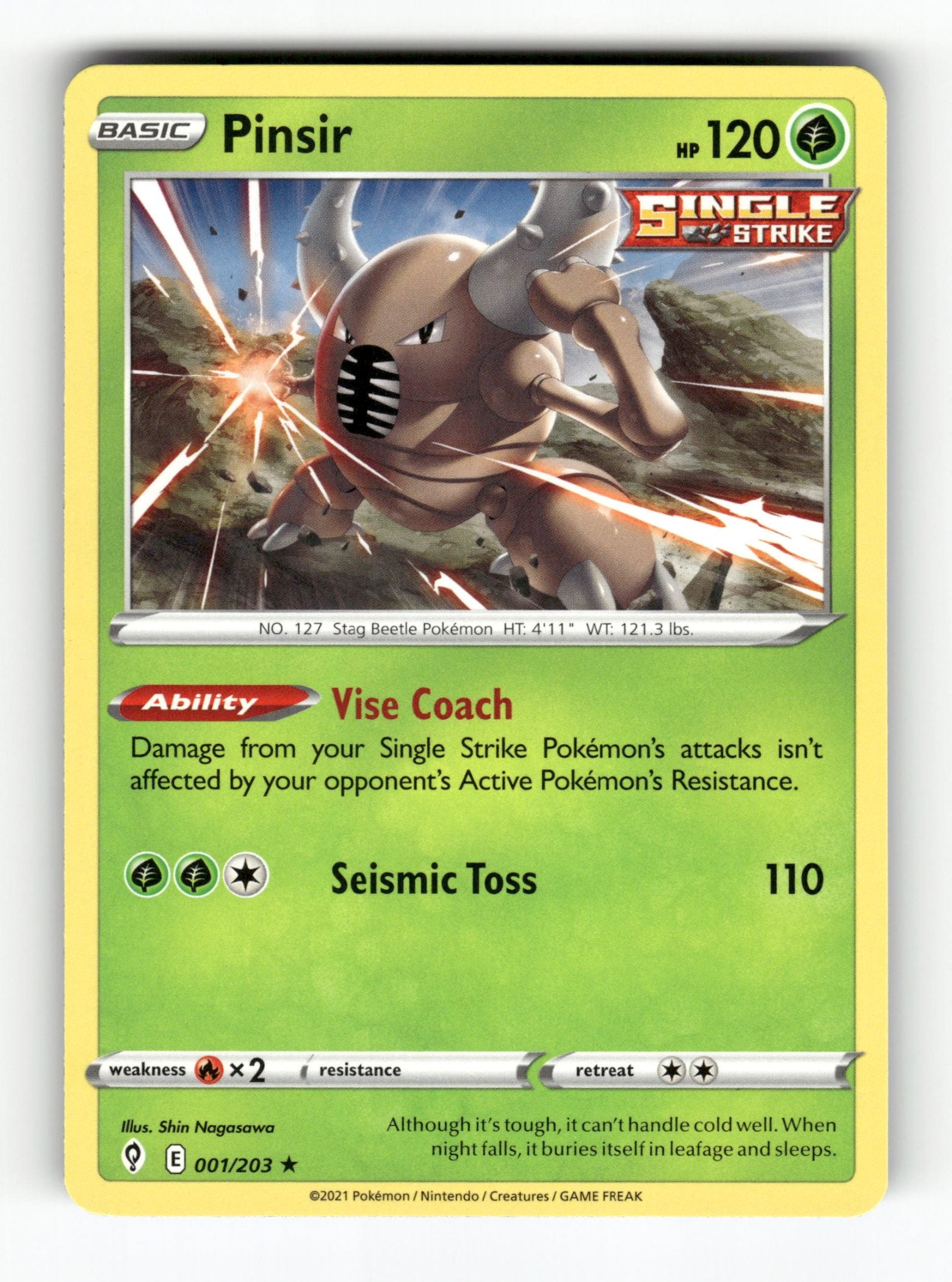 Pinsir
