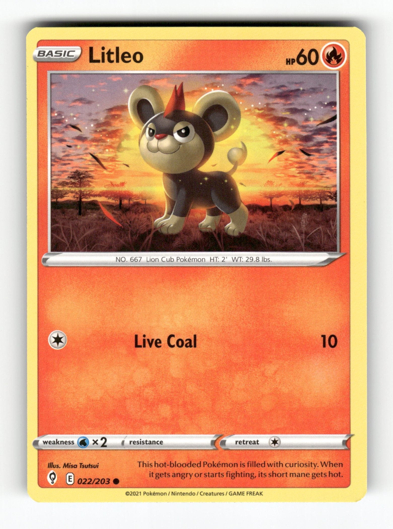 Litleo