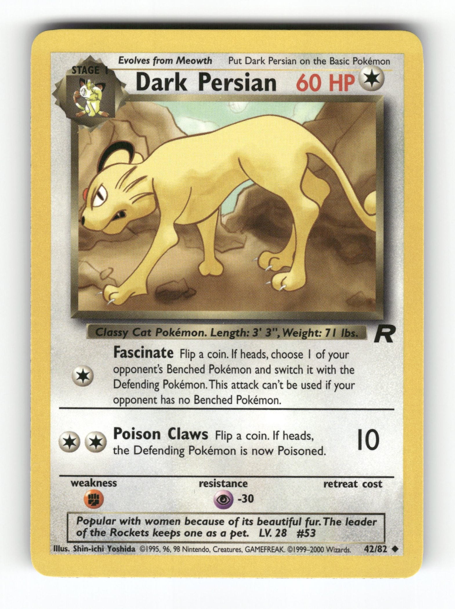 Dark Persian