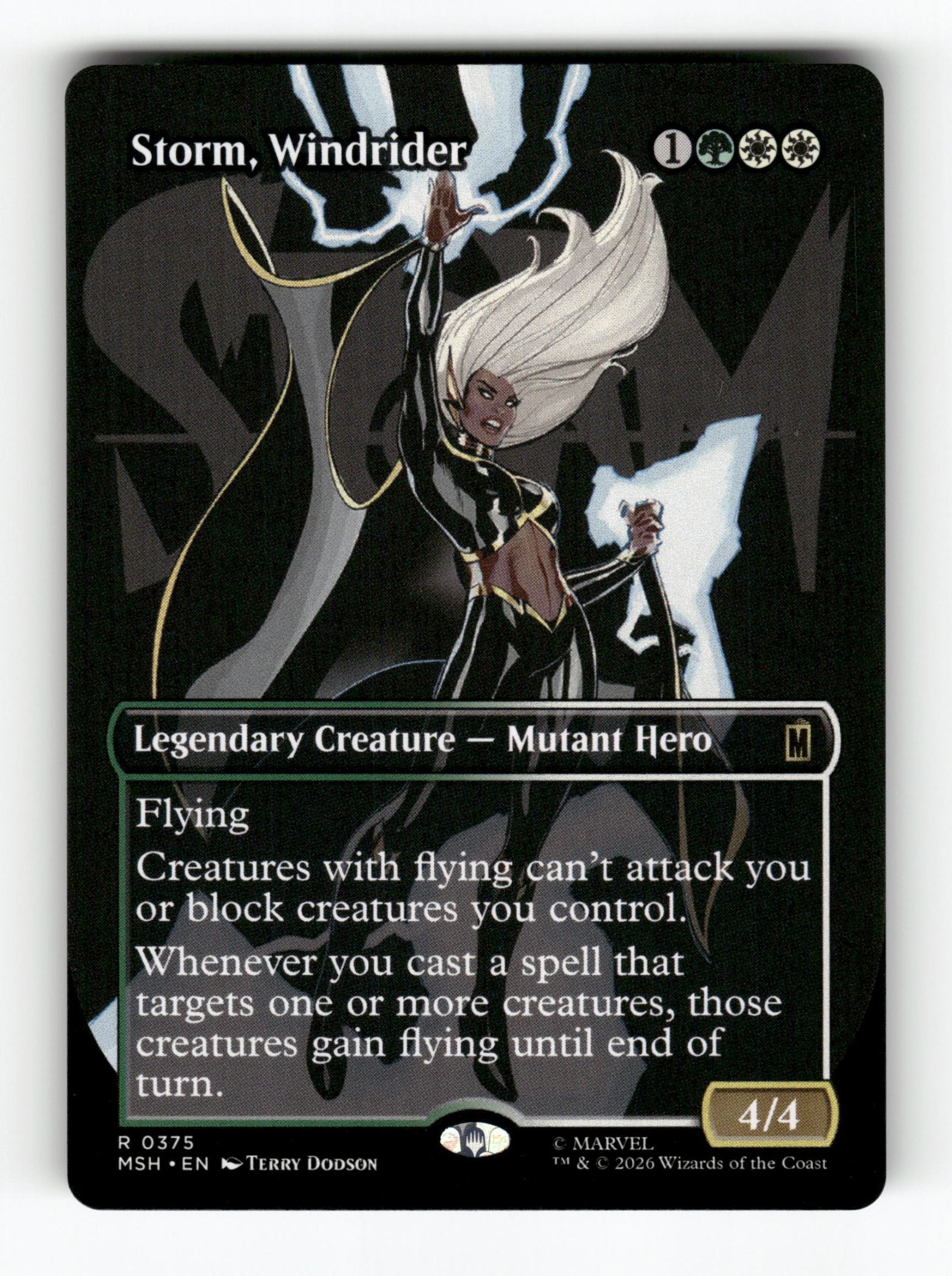 Storm, Windrider (Borderless)
