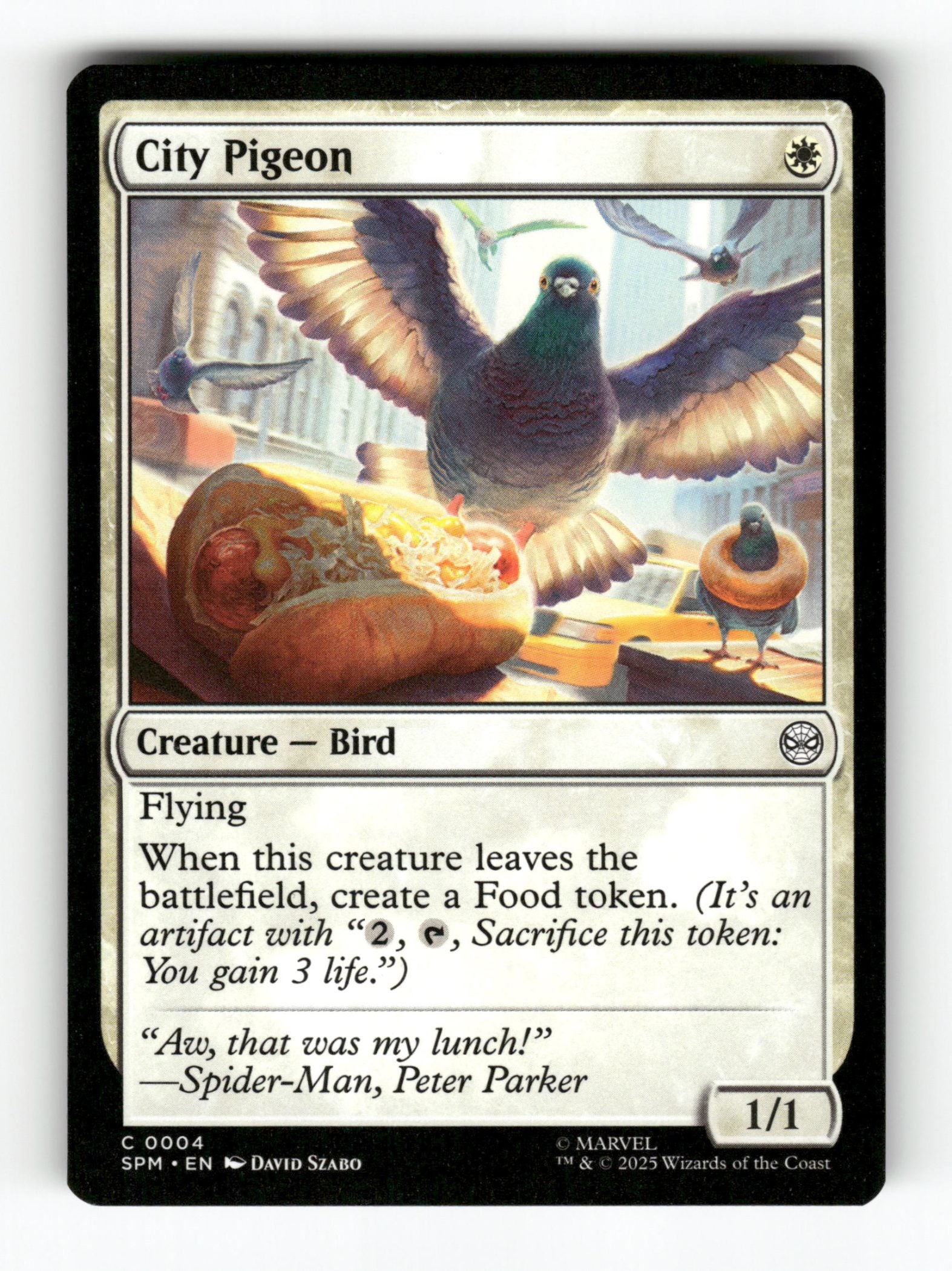 City Pigeon