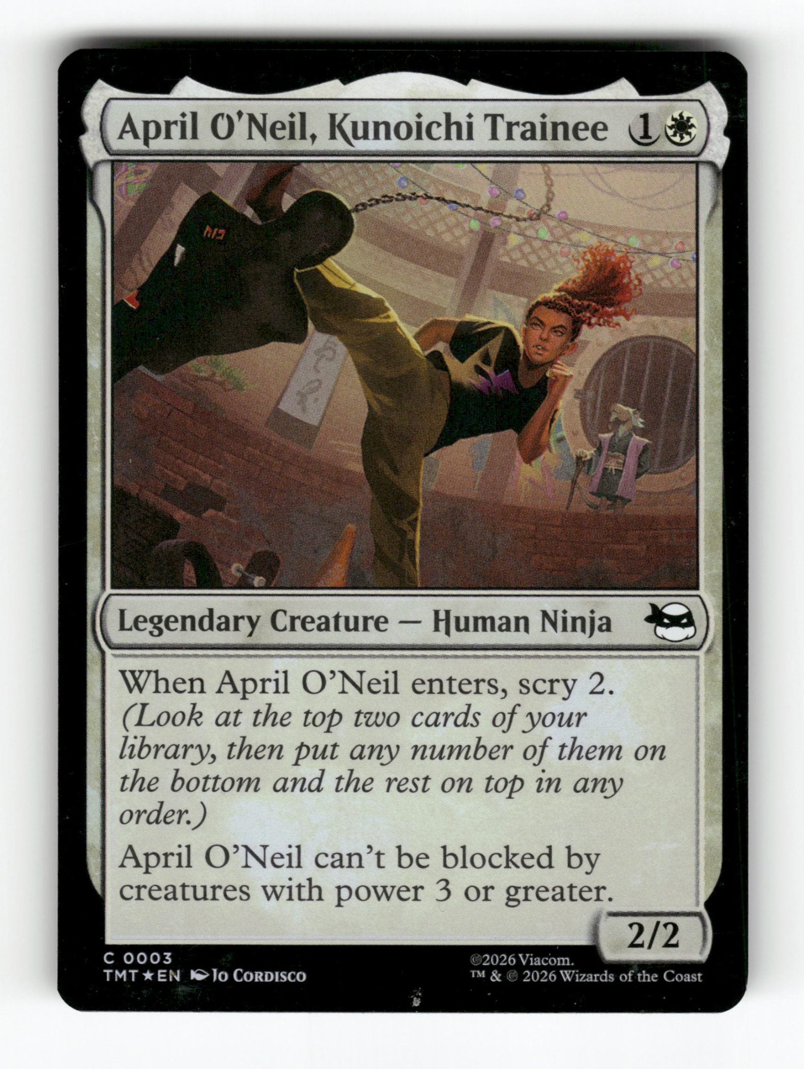 April O'Neil, Kunoichi Trainee