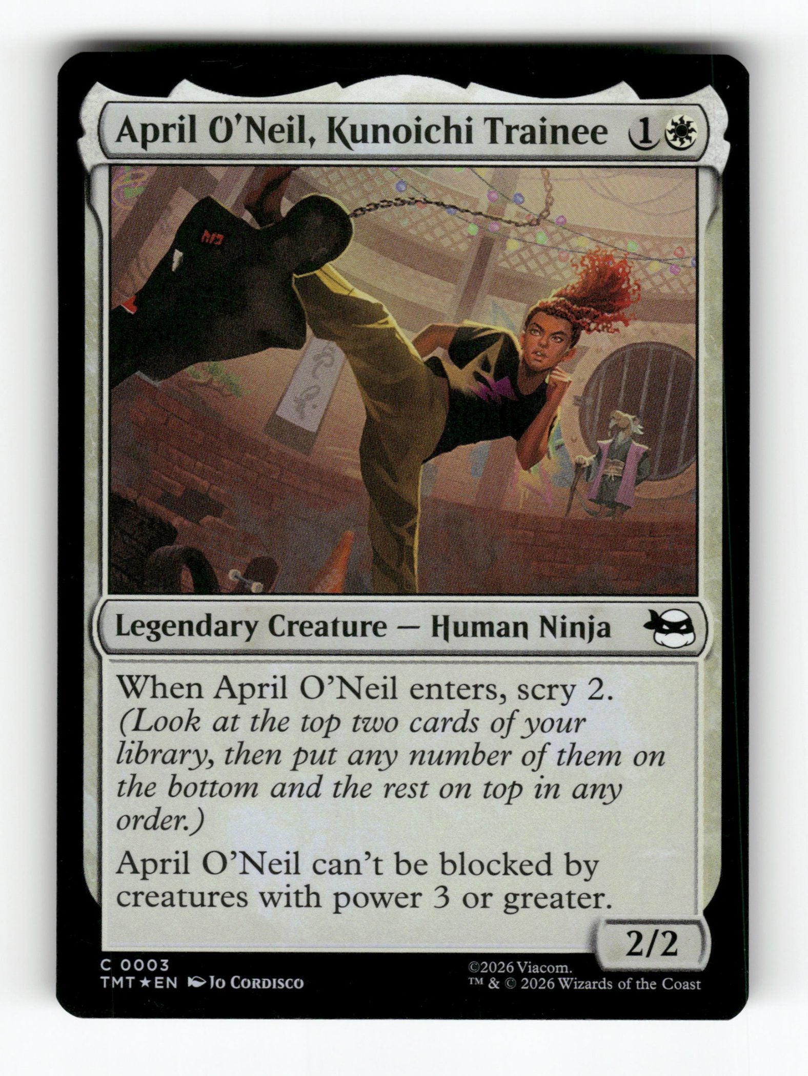 April O'Neil, Kunoichi Trainee