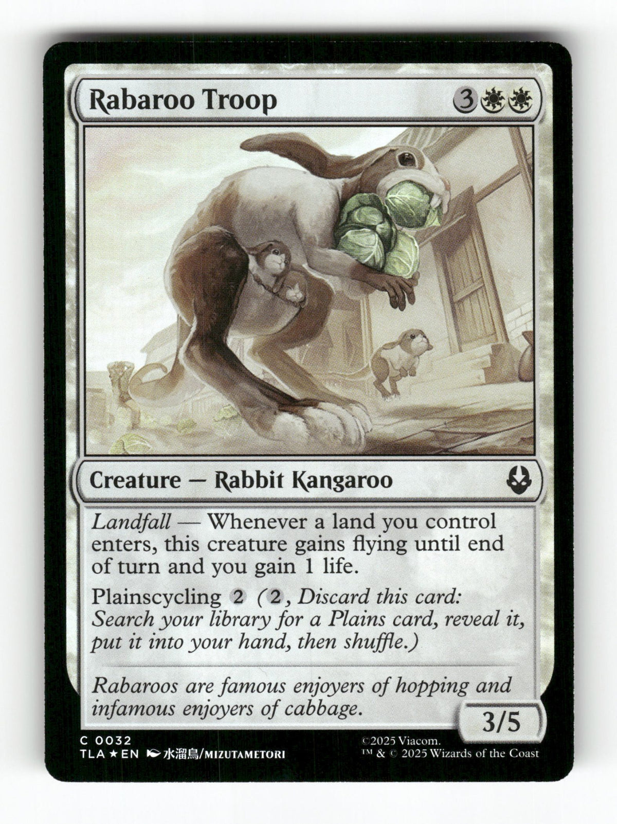 Rabaroo Troop