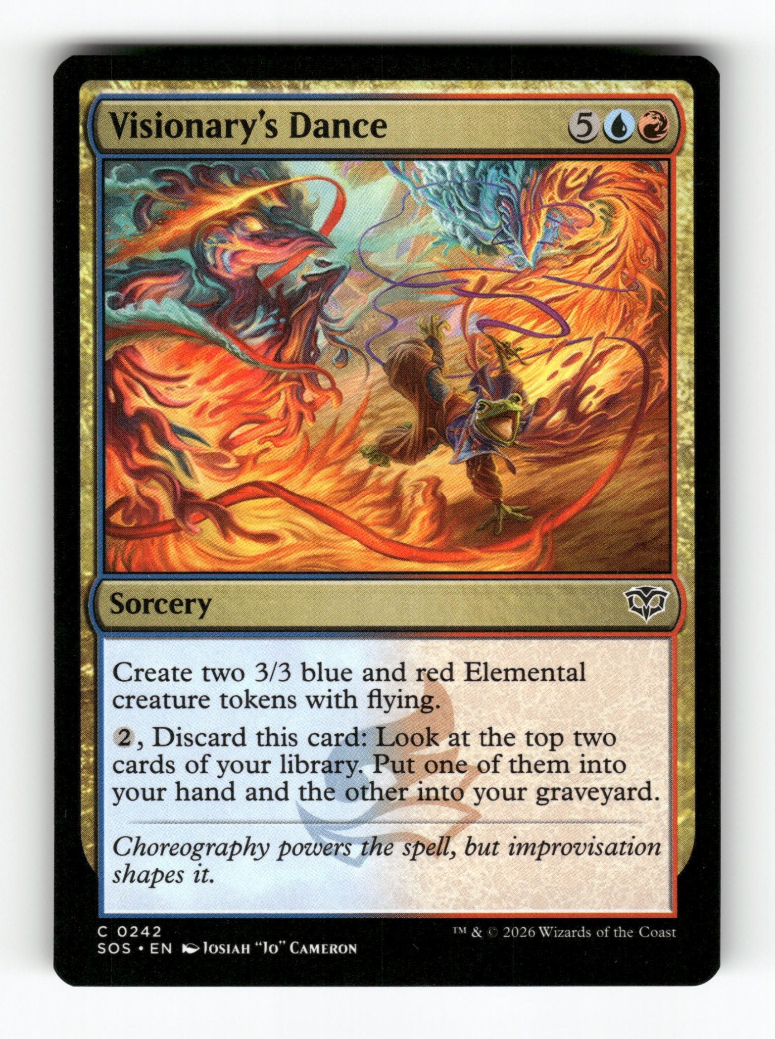 Visionary's Dance