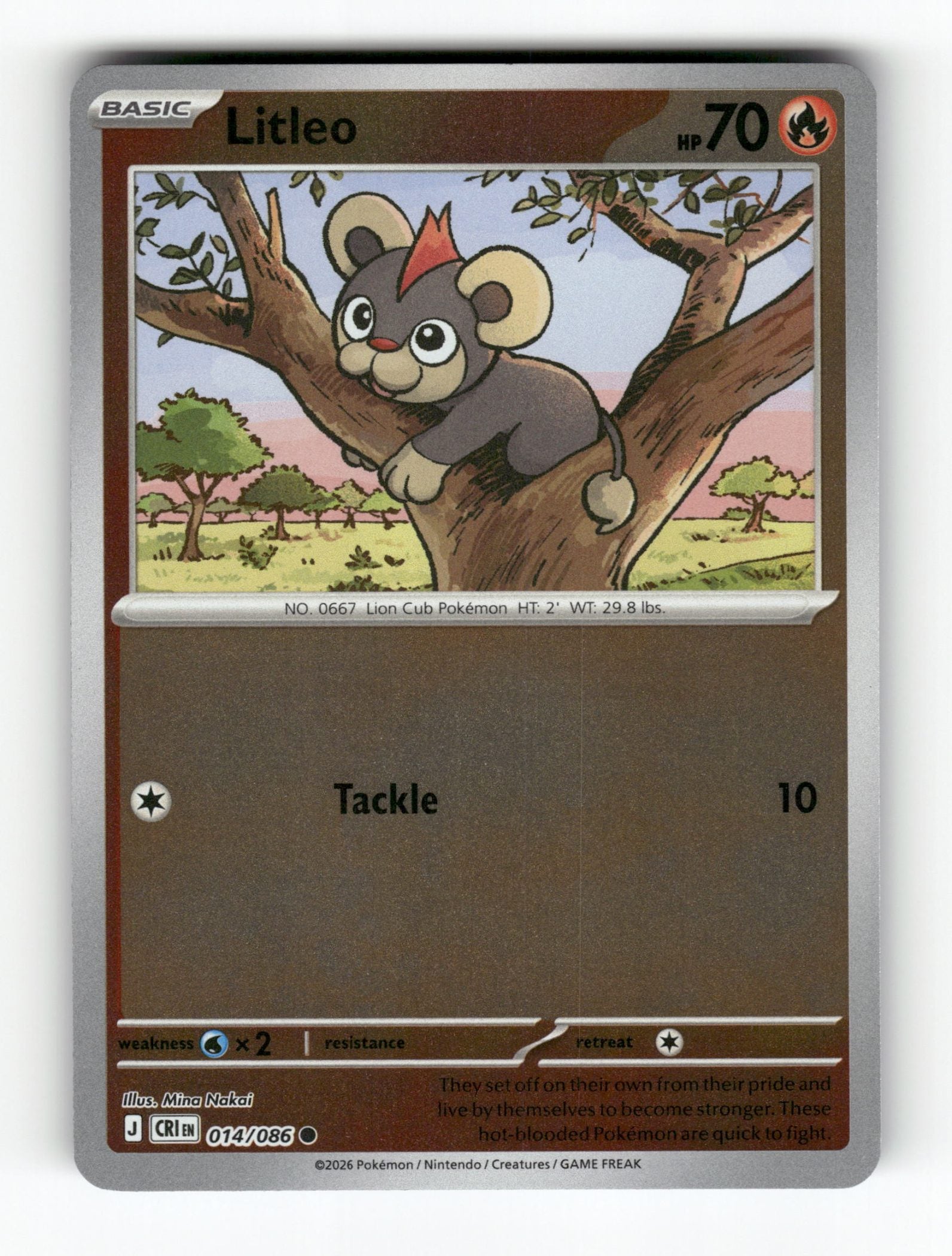 Litleo