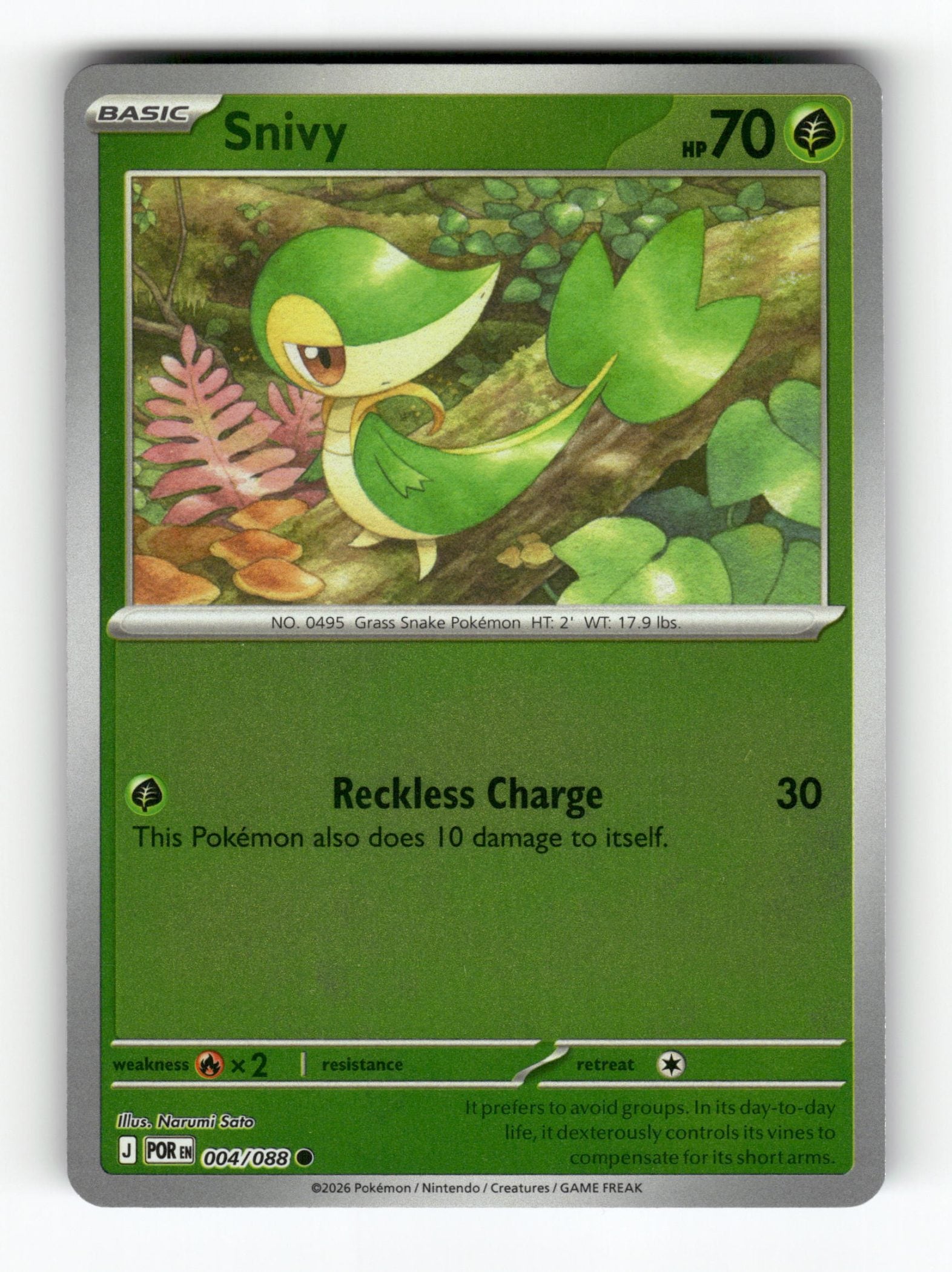 Snivy