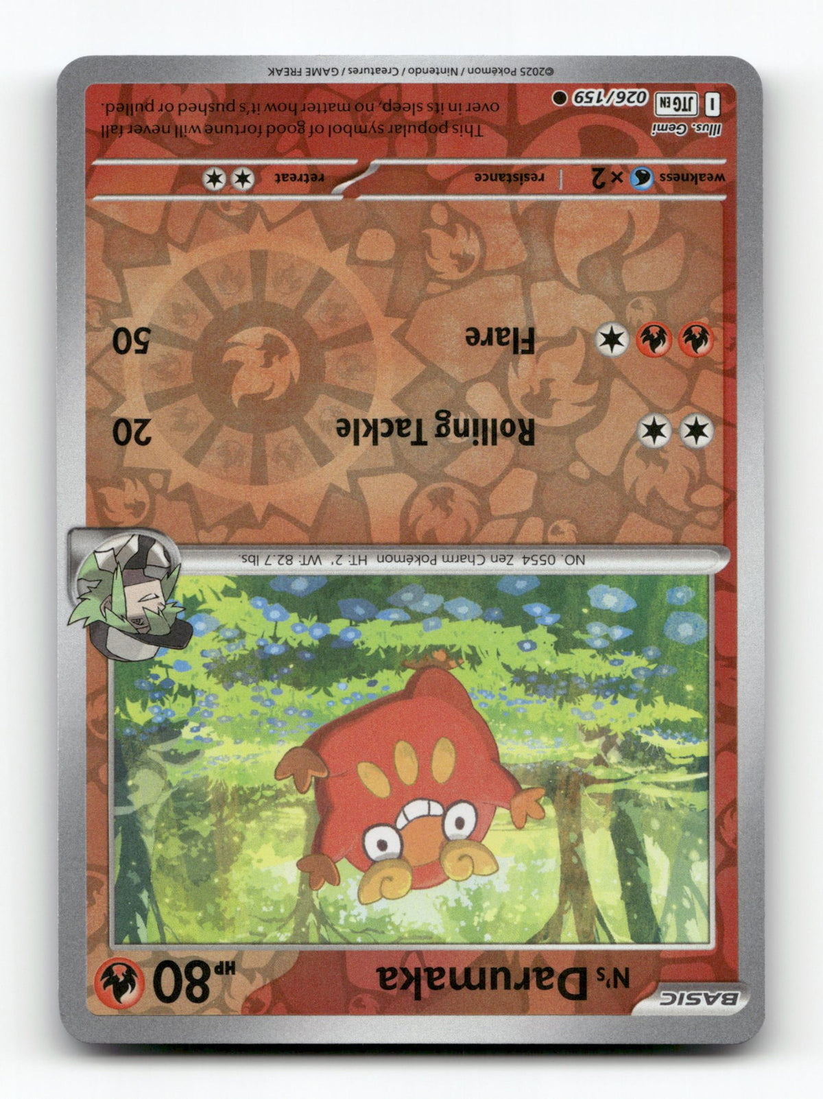 N's Darumaka