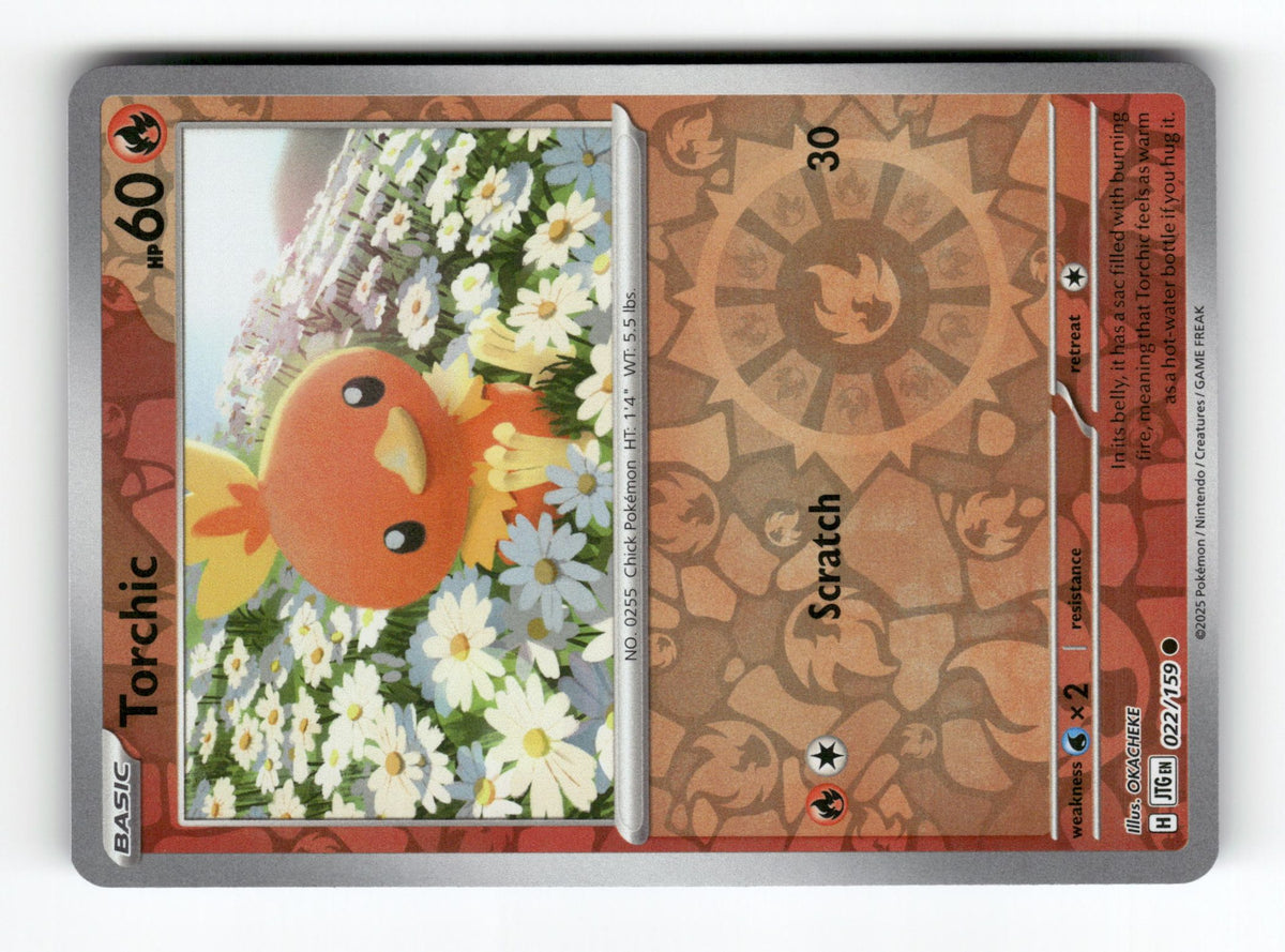Torchic